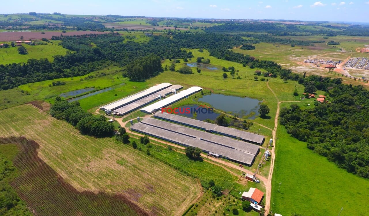 Excelente granja avícola em plena produção, ideal para investidores