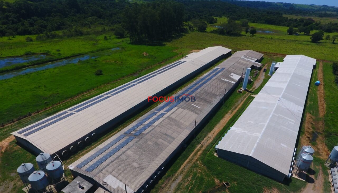 Excelente granja avícola em plena produção, ideal para investidores