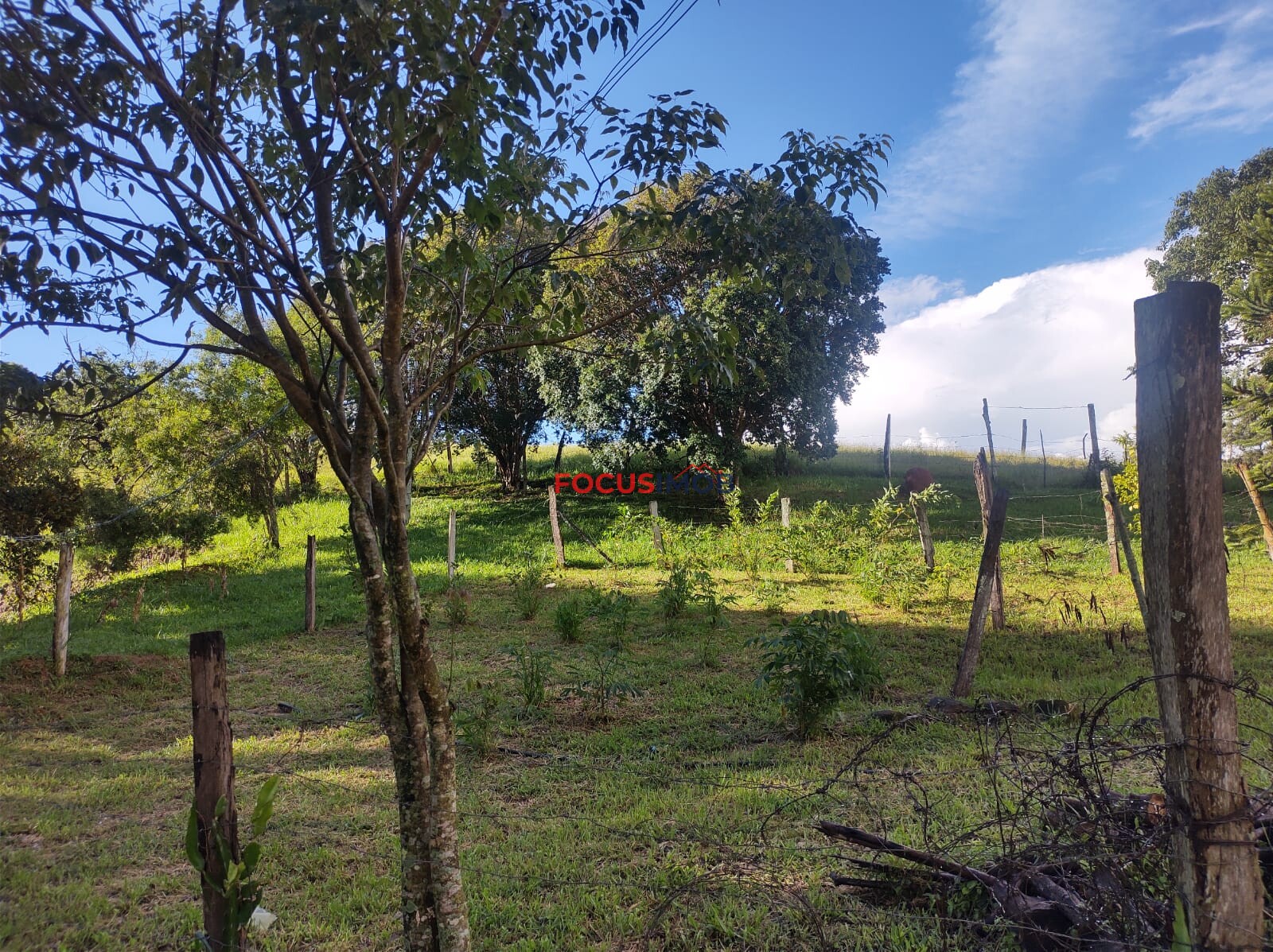 Sítio em Amparo SP