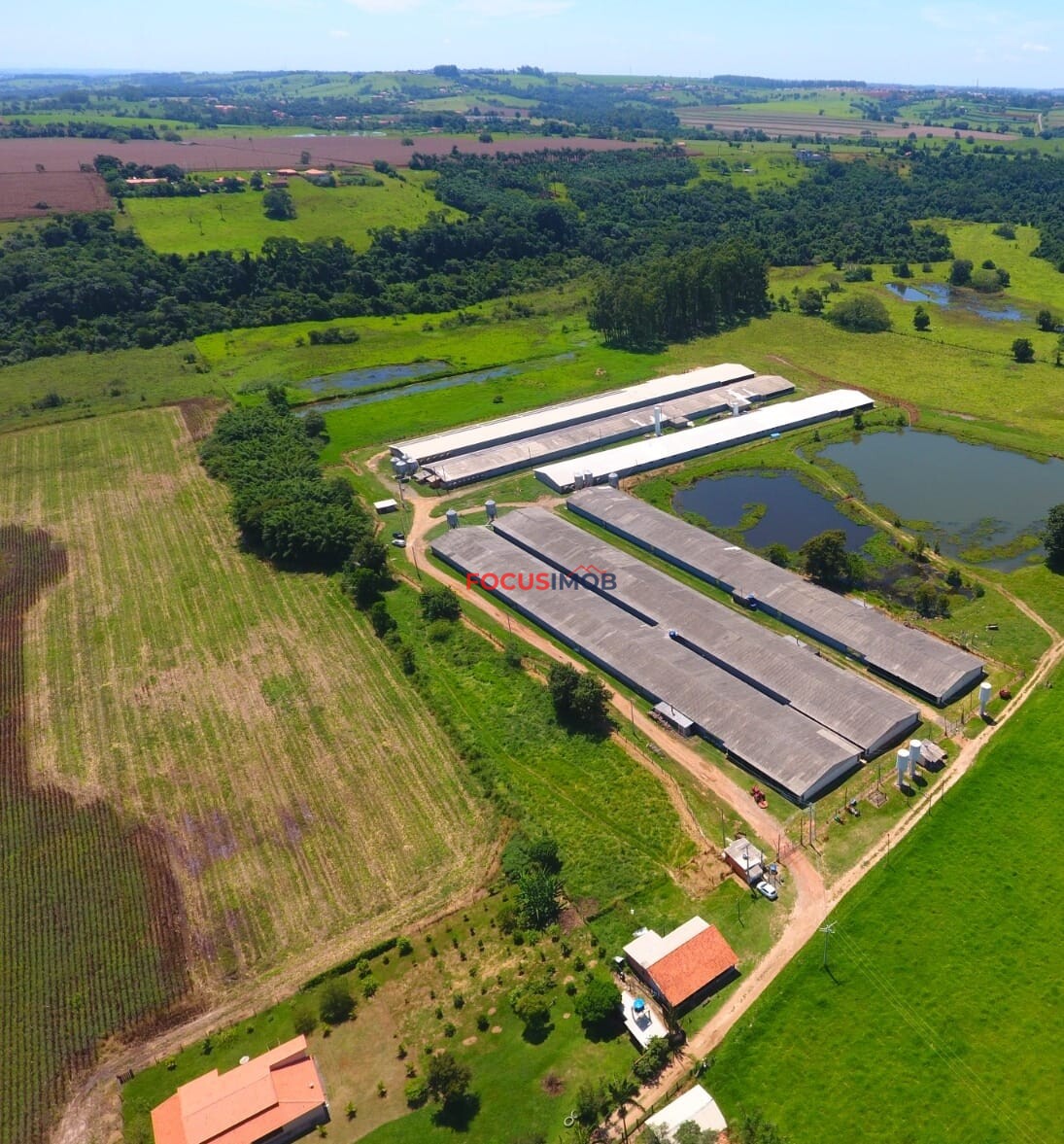 Excelente granja avícola em plena produção, ideal para investidores