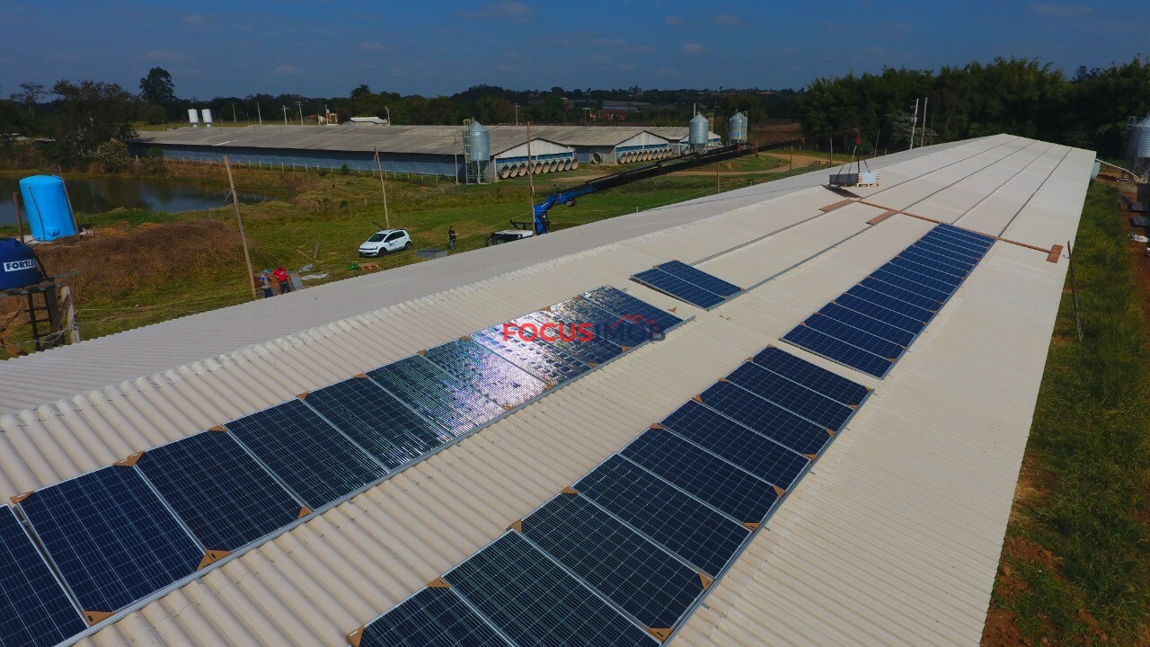 Excelente granja avícola em plena produção, ideal para investidores