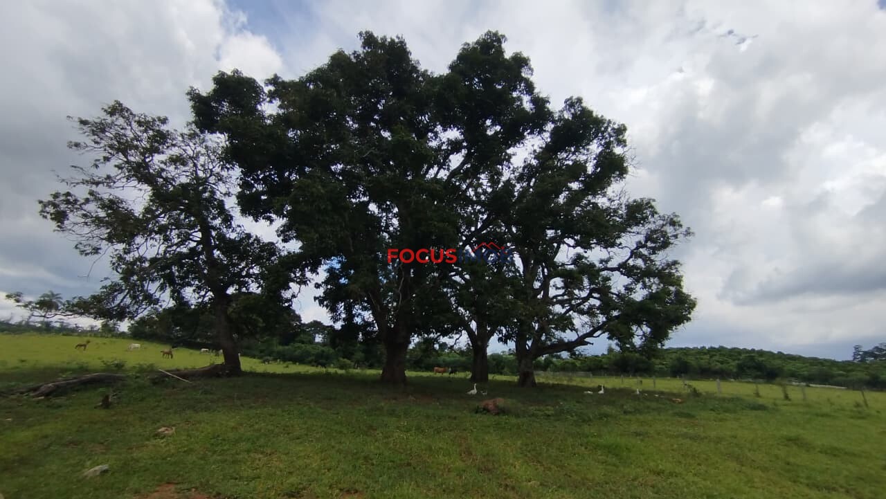 EXCLUSIVIDADE🌿 EXCELENTE SÍTIO À VENDA – OPORTUNIDADE ÚNICA NA REGIÃO DE Santo Antônio de Posse 🌿