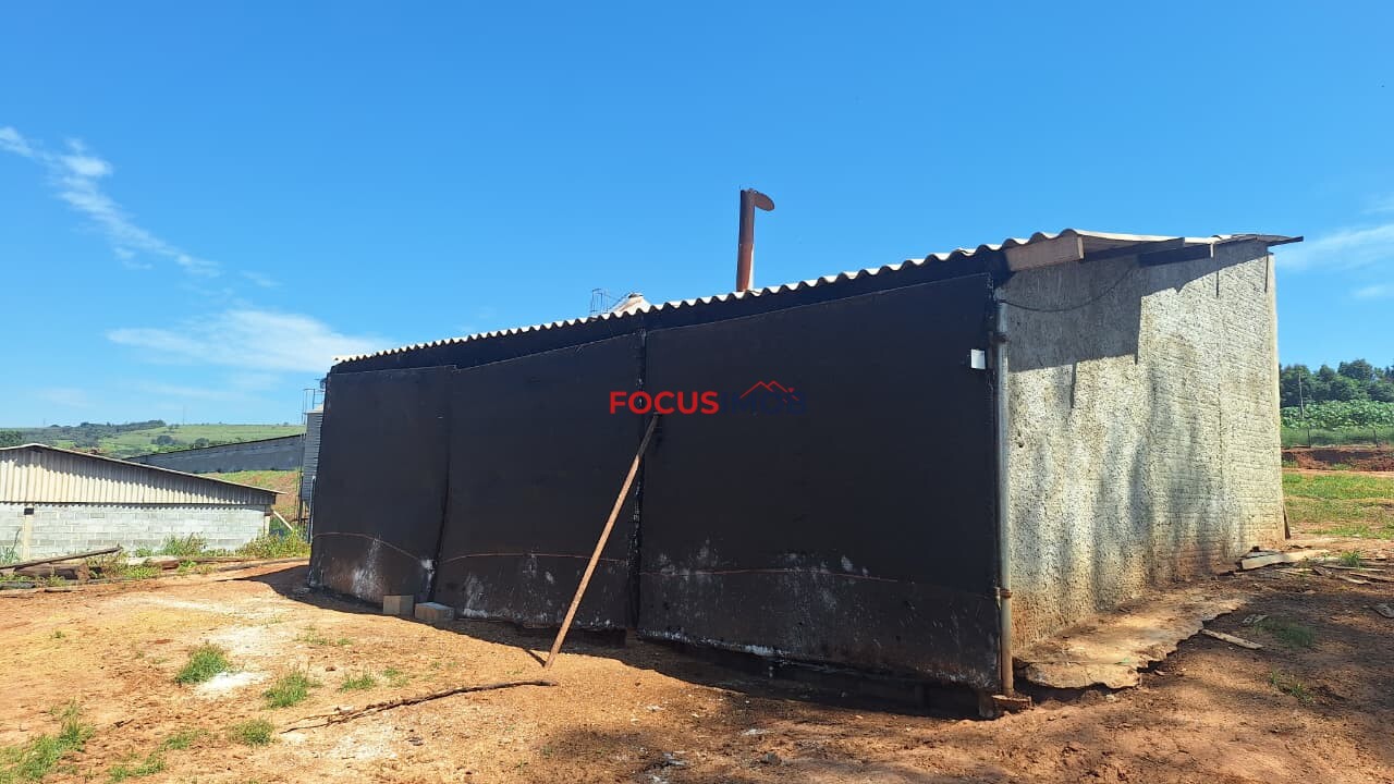 Granja em Plena Produção – Estrutura Completa e Totalmente Automatizada