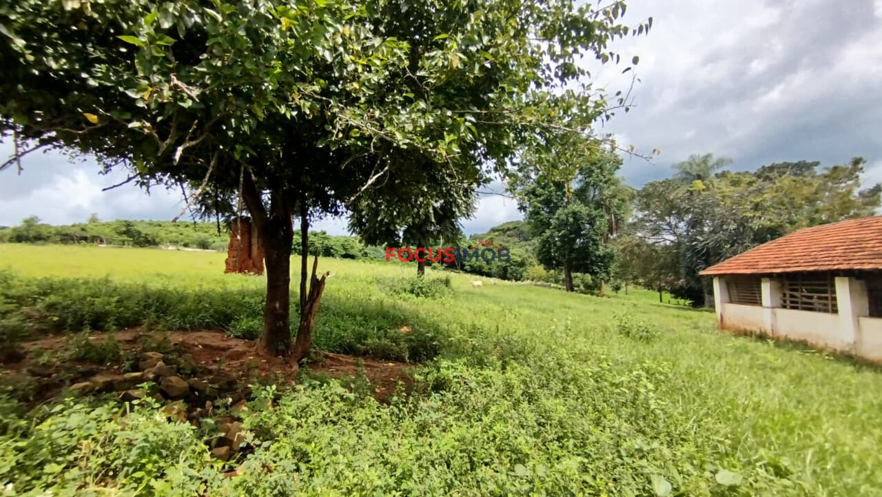 EXCLUSIVIDADE🌿 EXCELENTE SÍTIO À VENDA – OPORTUNIDADE ÚNICA NA REGIÃO DE Santo Antônio de Posse 🌿