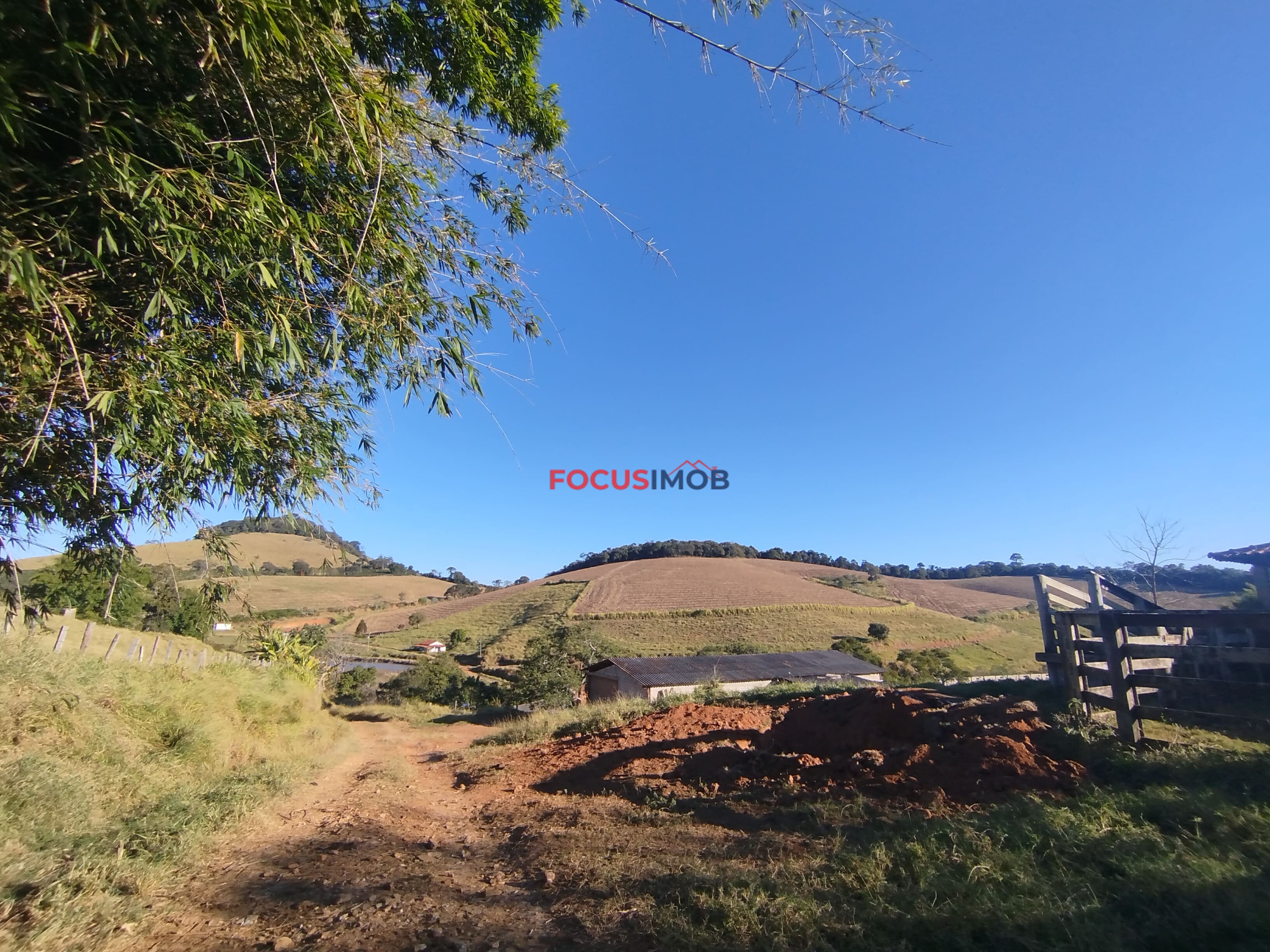FAZENDA 100% PRODUTIVA