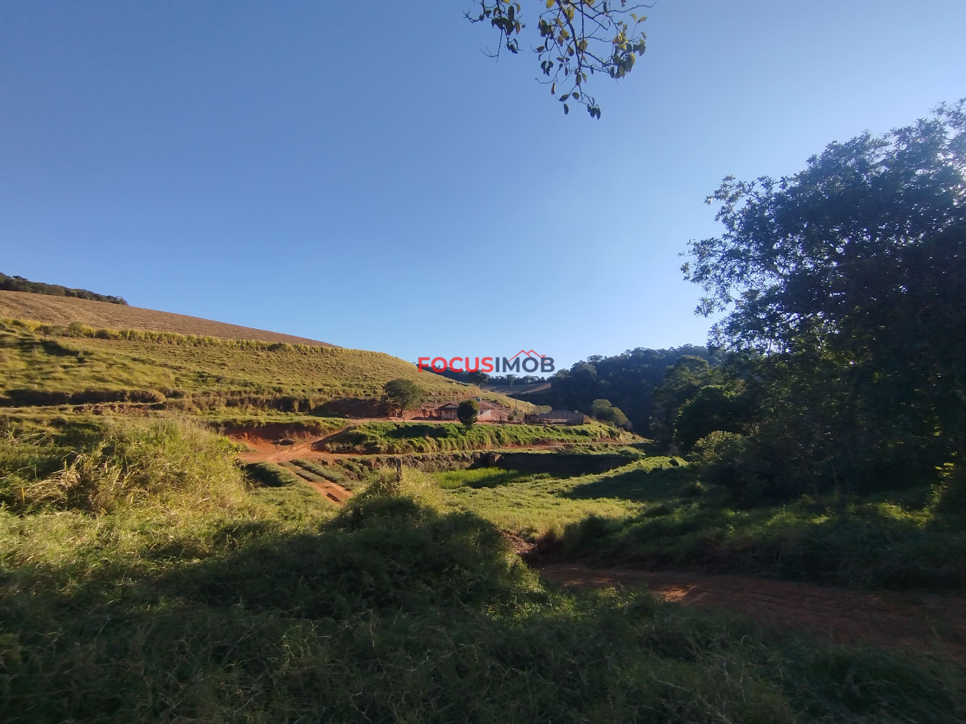 FAZENDA 100% PRODUTIVA