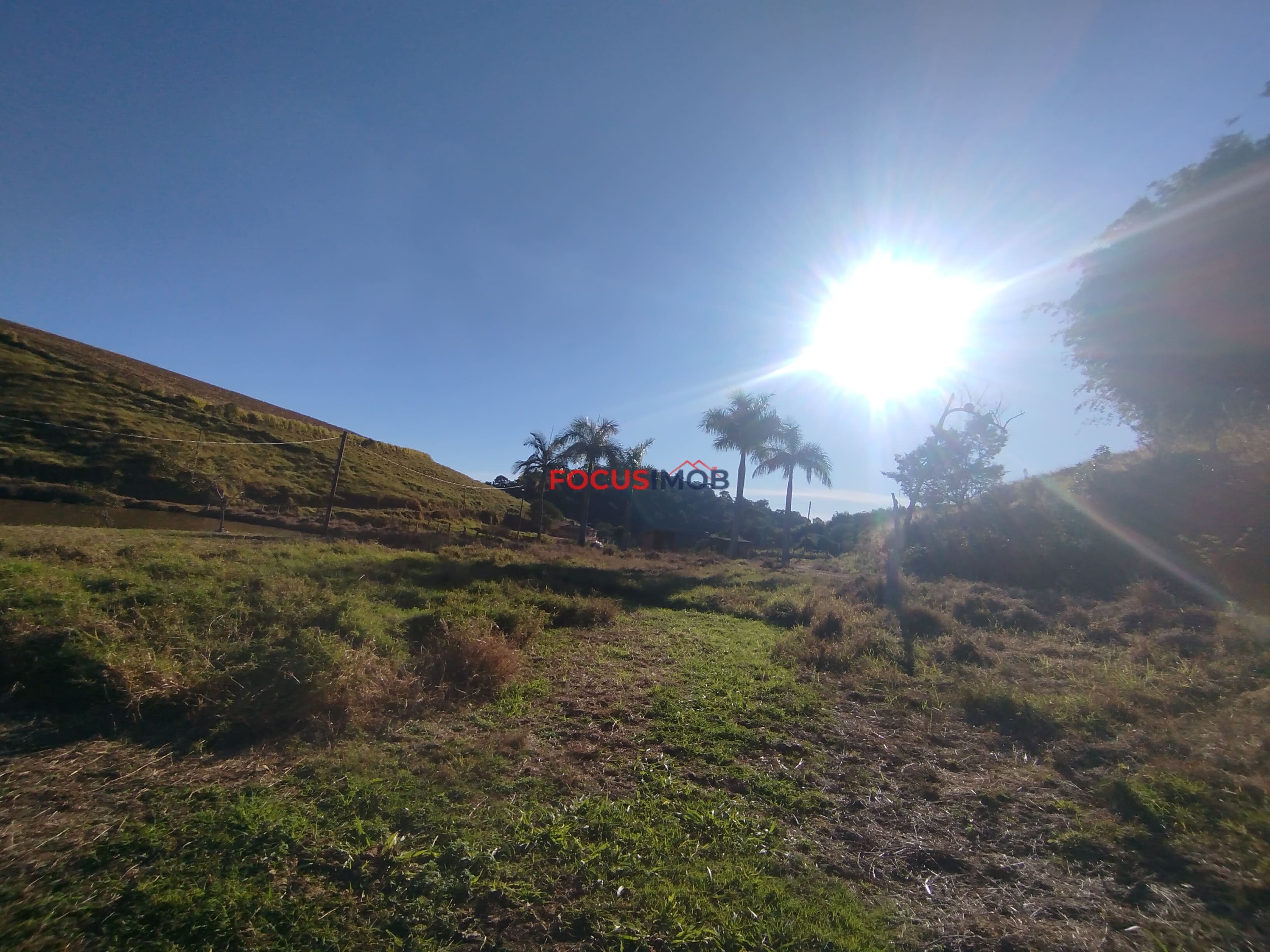 FAZENDA 100% PRODUTIVA