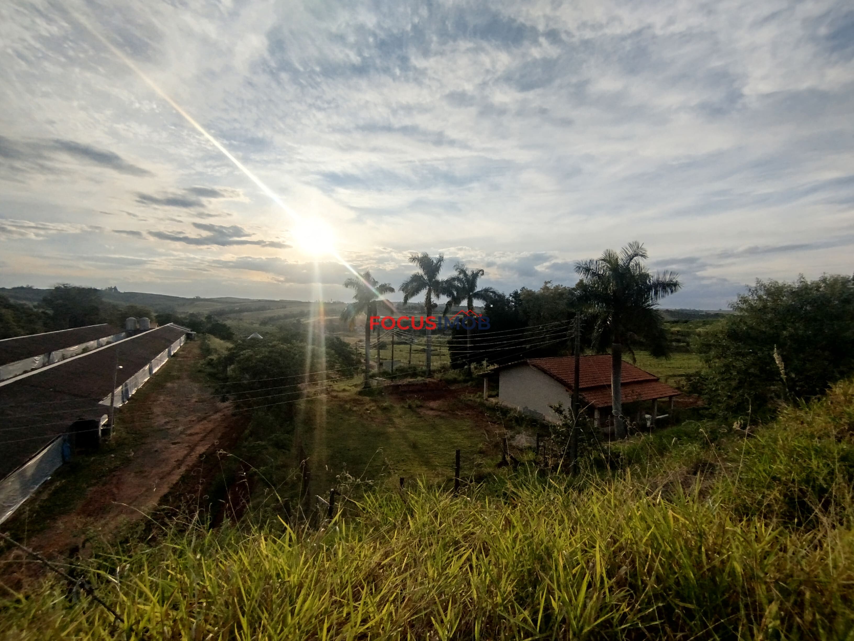 🏡 Granja Produtiva e Automatizada à Venda – Excelente Oportunidade de Investimento!
