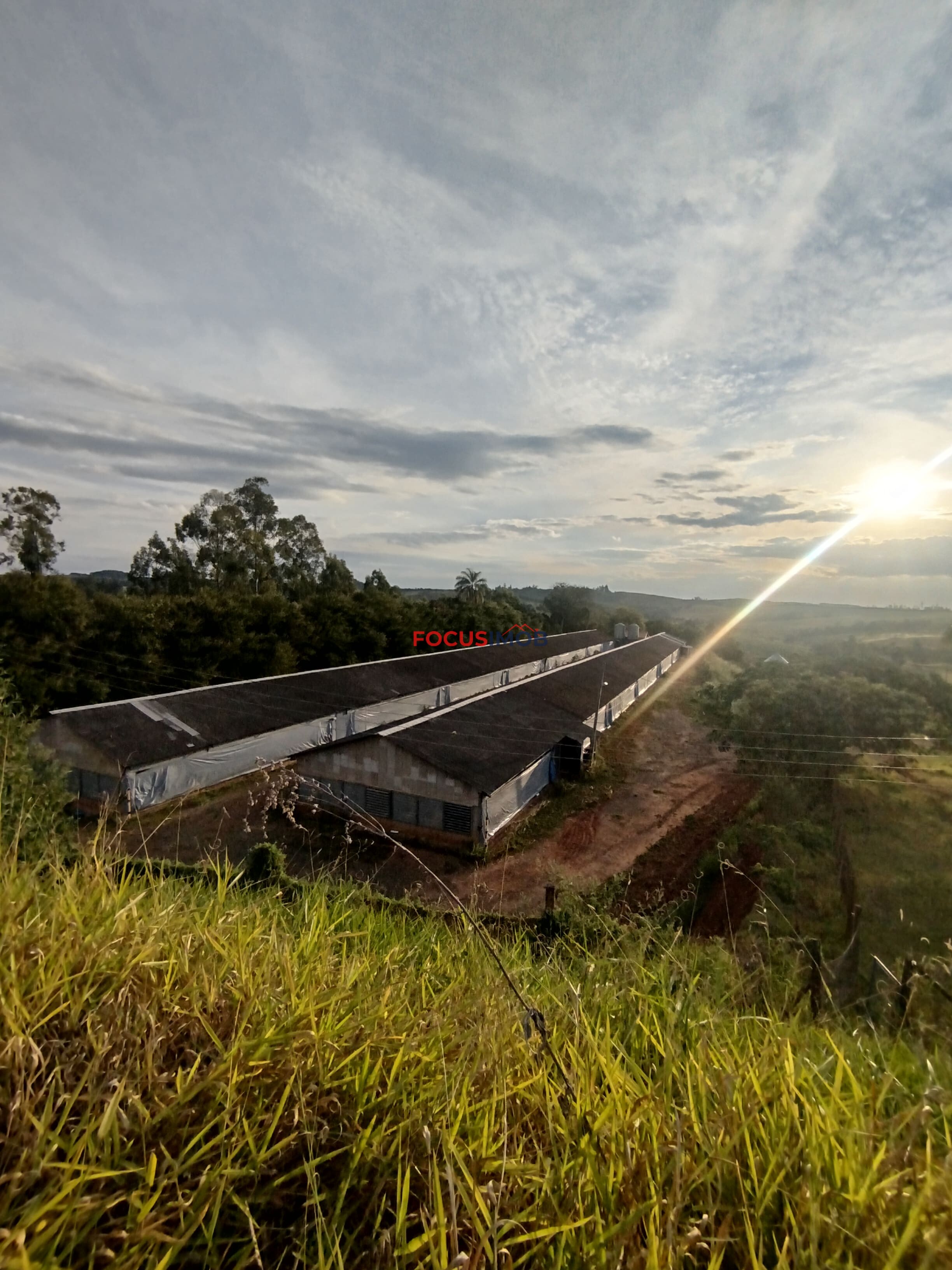 🏡 Granja Produtiva e Automatizada à Venda – Excelente Oportunidade de Investimento!