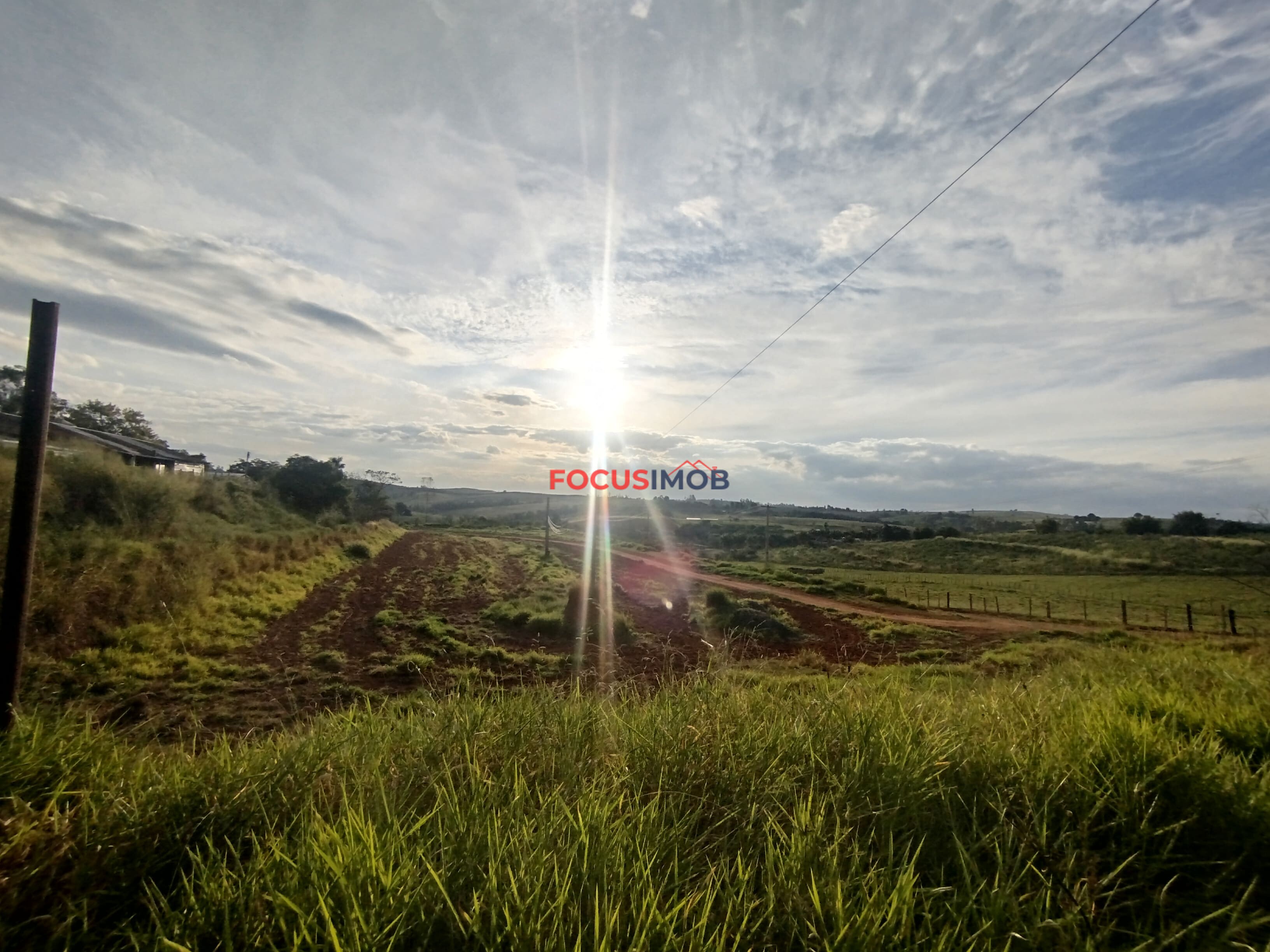 🏡 Granja Produtiva e Automatizada à Venda – Excelente Oportunidade de Investimento!