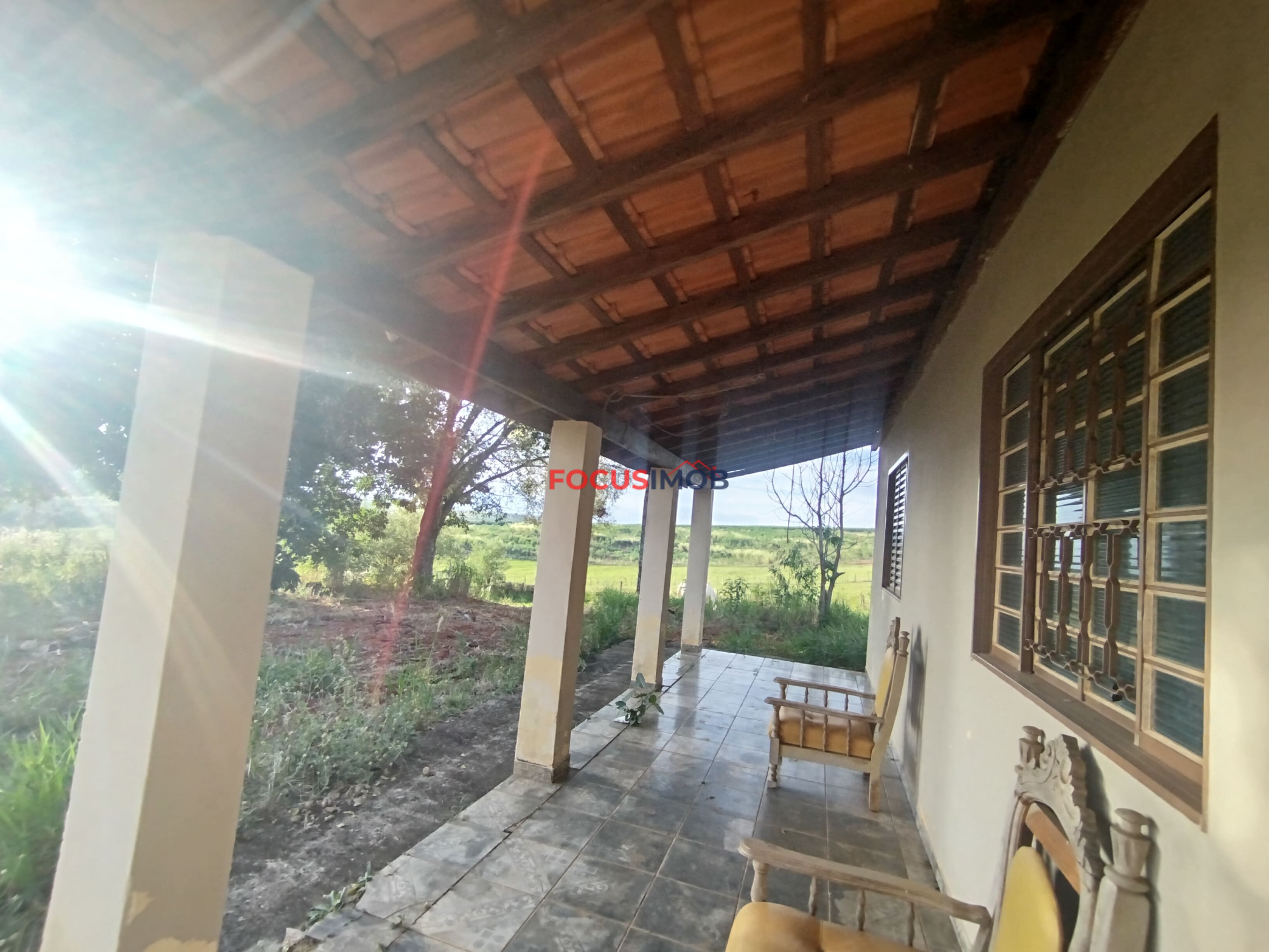 🏡 Granja Produtiva e Automatizada à Venda – Excelente Oportunidade de Investimento!