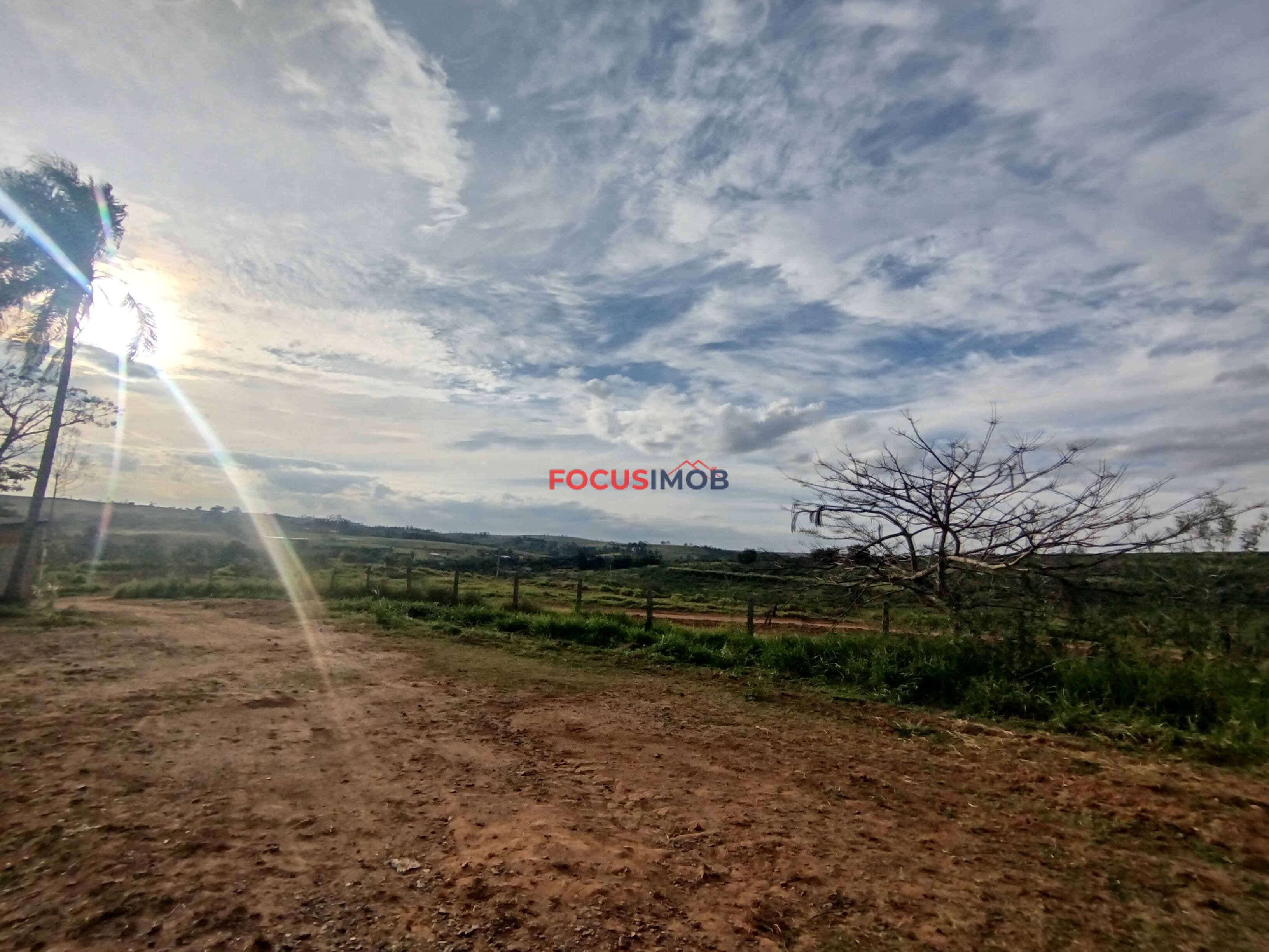 🏡 Granja Produtiva e Automatizada à Venda – Excelente Oportunidade de Investimento!