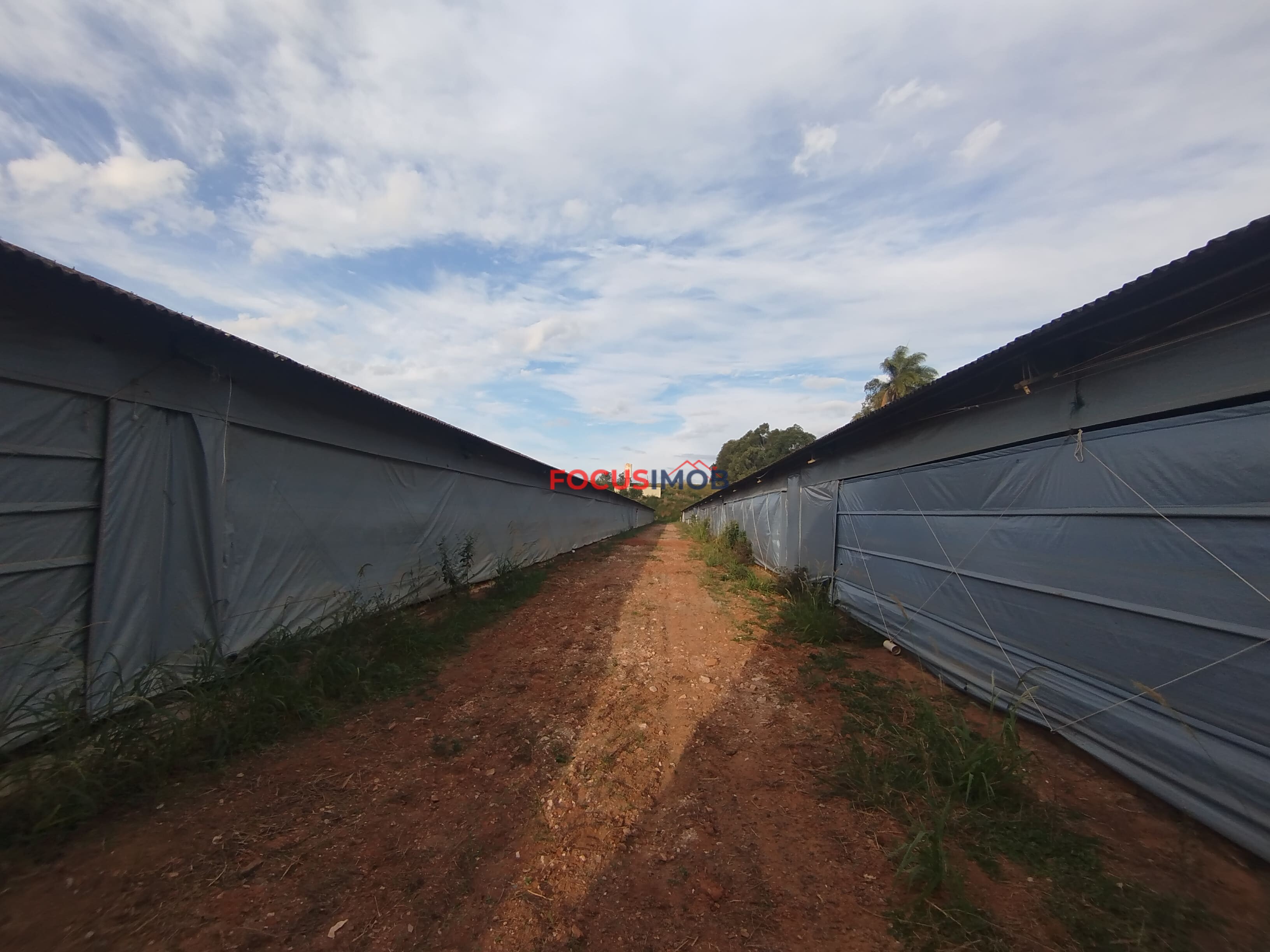 🏡 Granja Produtiva e Automatizada à Venda – Excelente Oportunidade de Investimento!