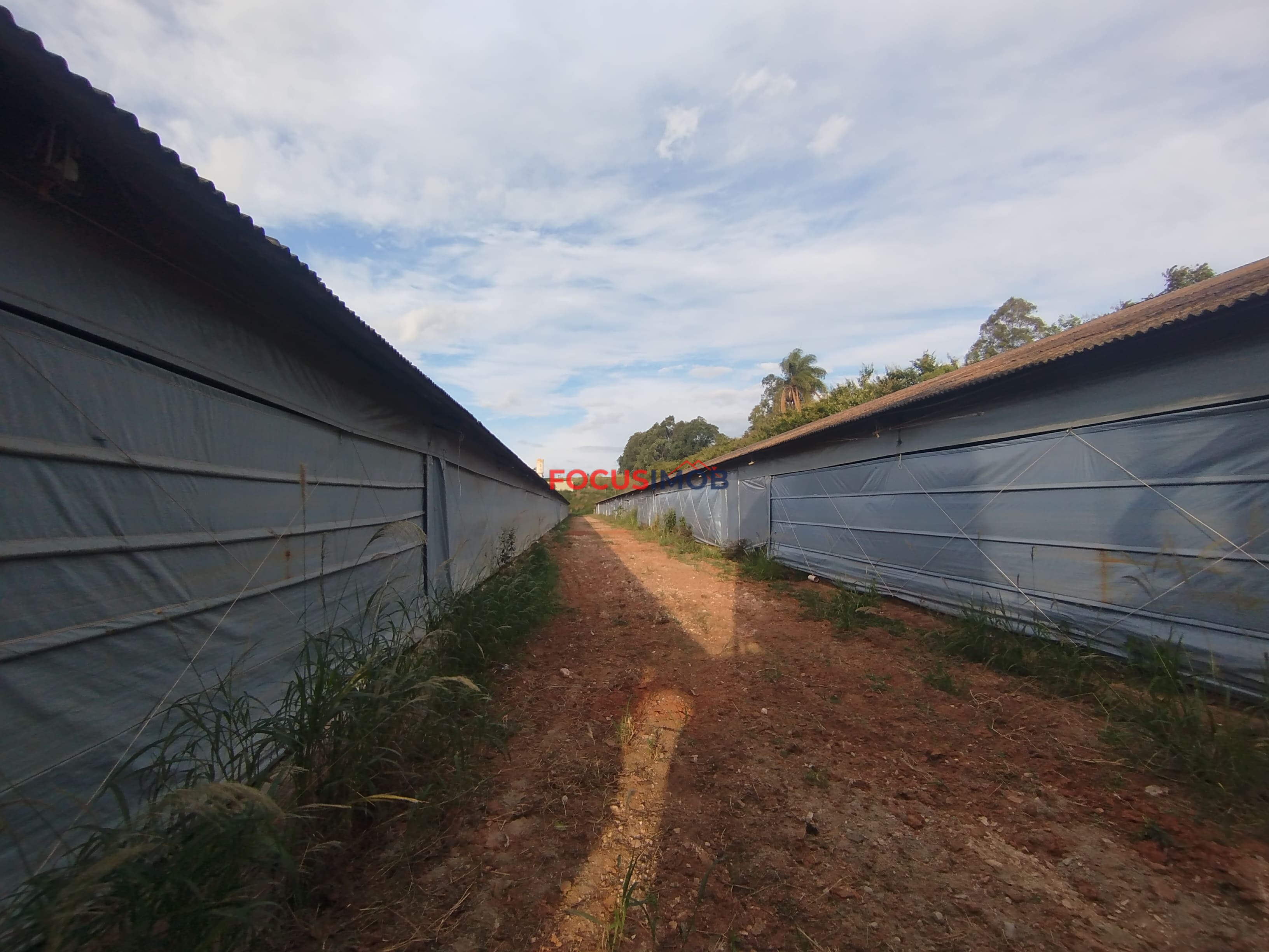 🏡 Granja Produtiva e Automatizada à Venda – Excelente Oportunidade de Investimento!