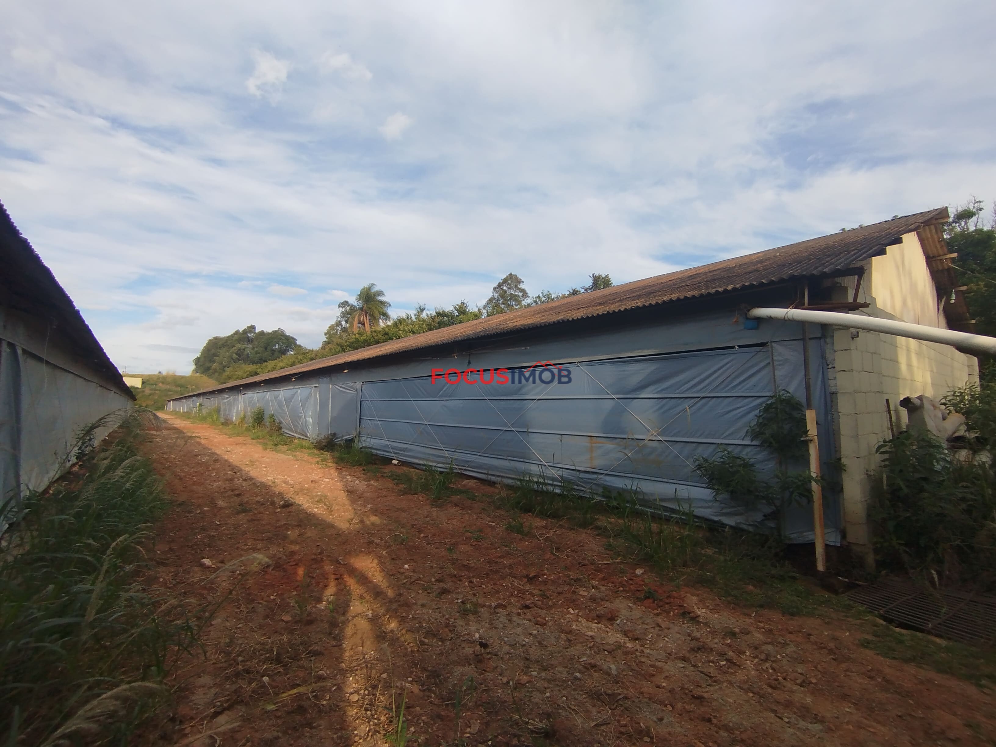 🏡 Granja Produtiva e Automatizada à Venda – Excelente Oportunidade de Investimento!