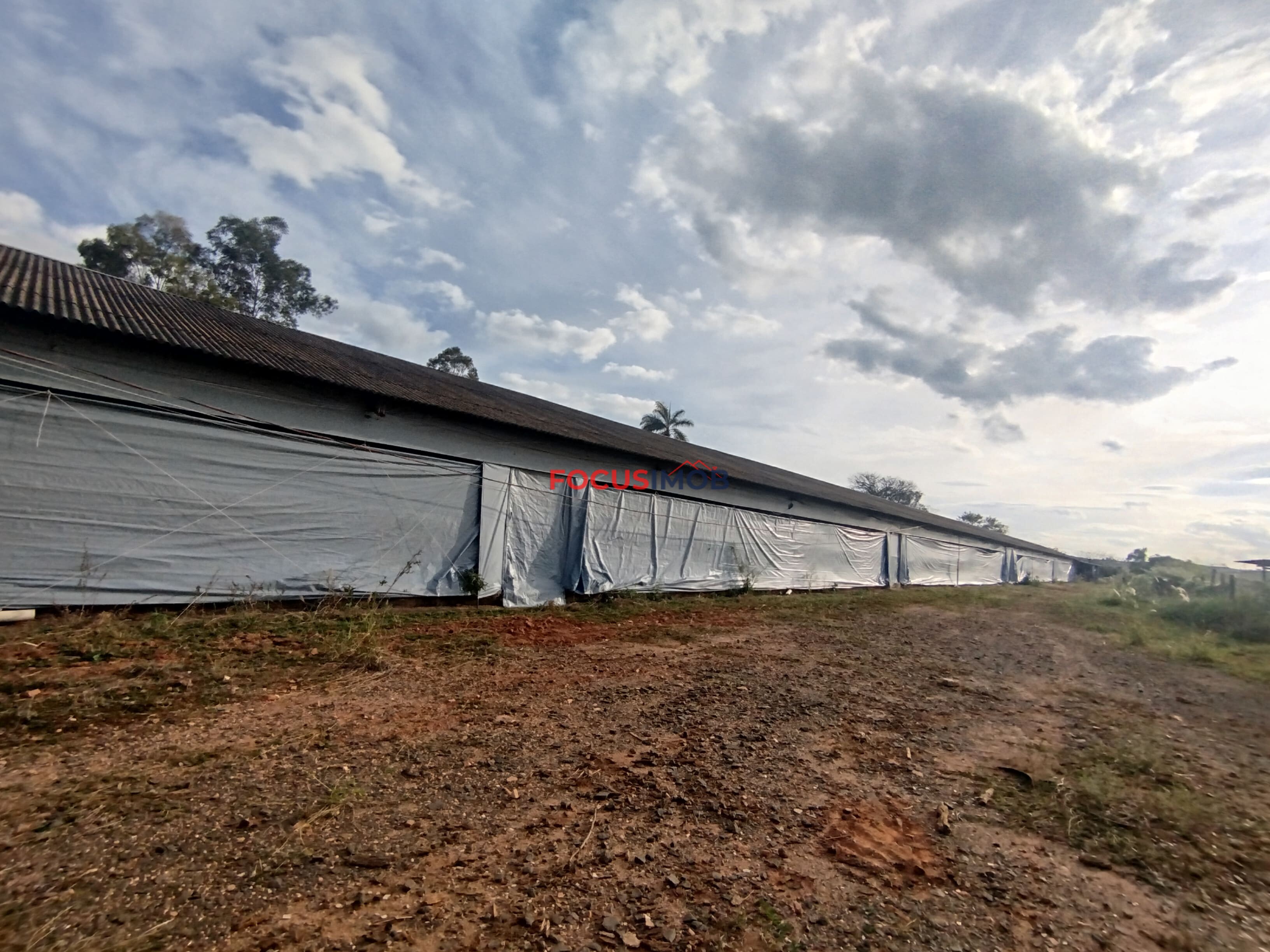 🏡 Granja Produtiva e Automatizada à Venda – Excelente Oportunidade de Investimento!