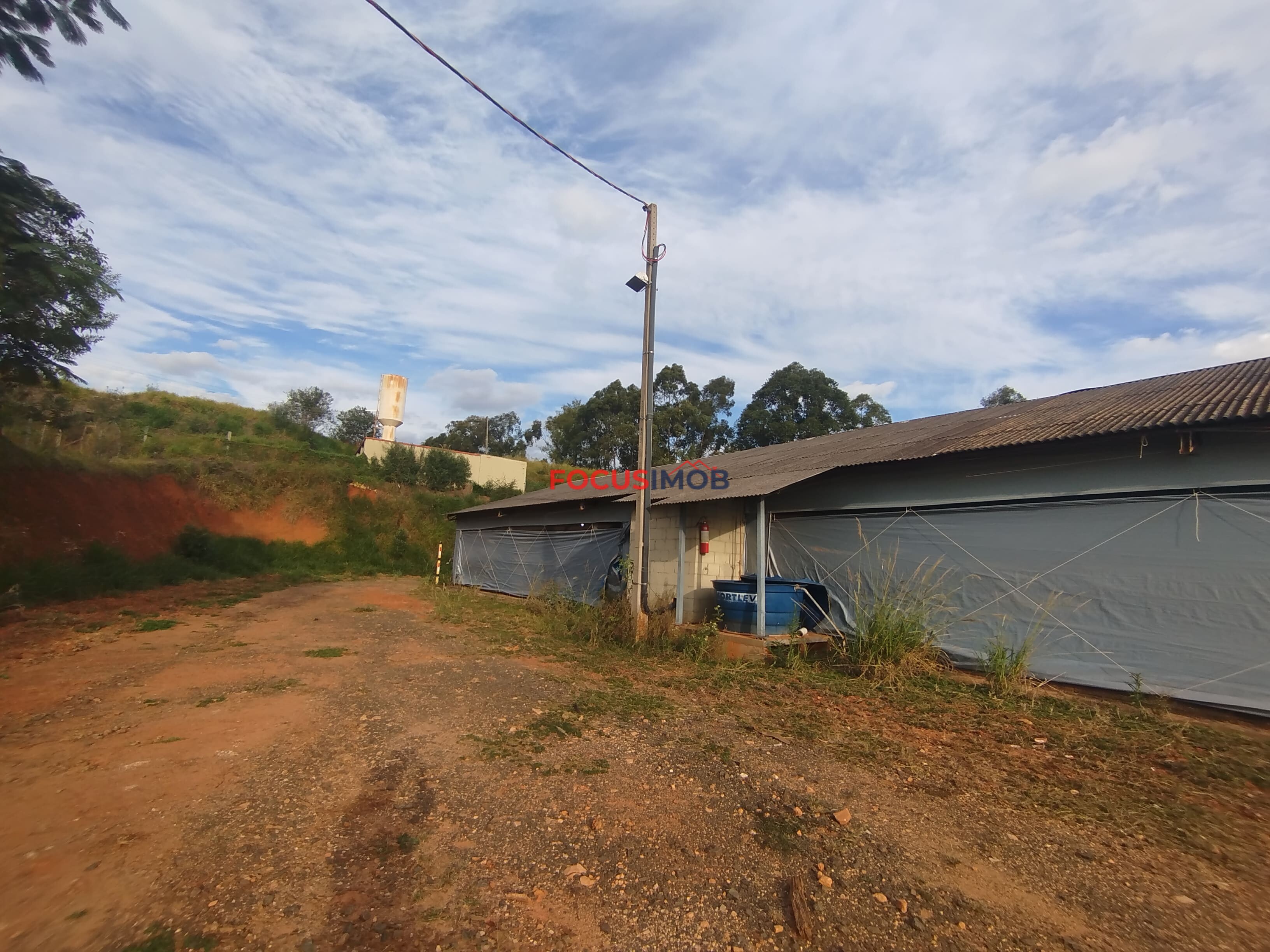 🏡 Granja Produtiva e Automatizada à Venda – Excelente Oportunidade de Investimento!