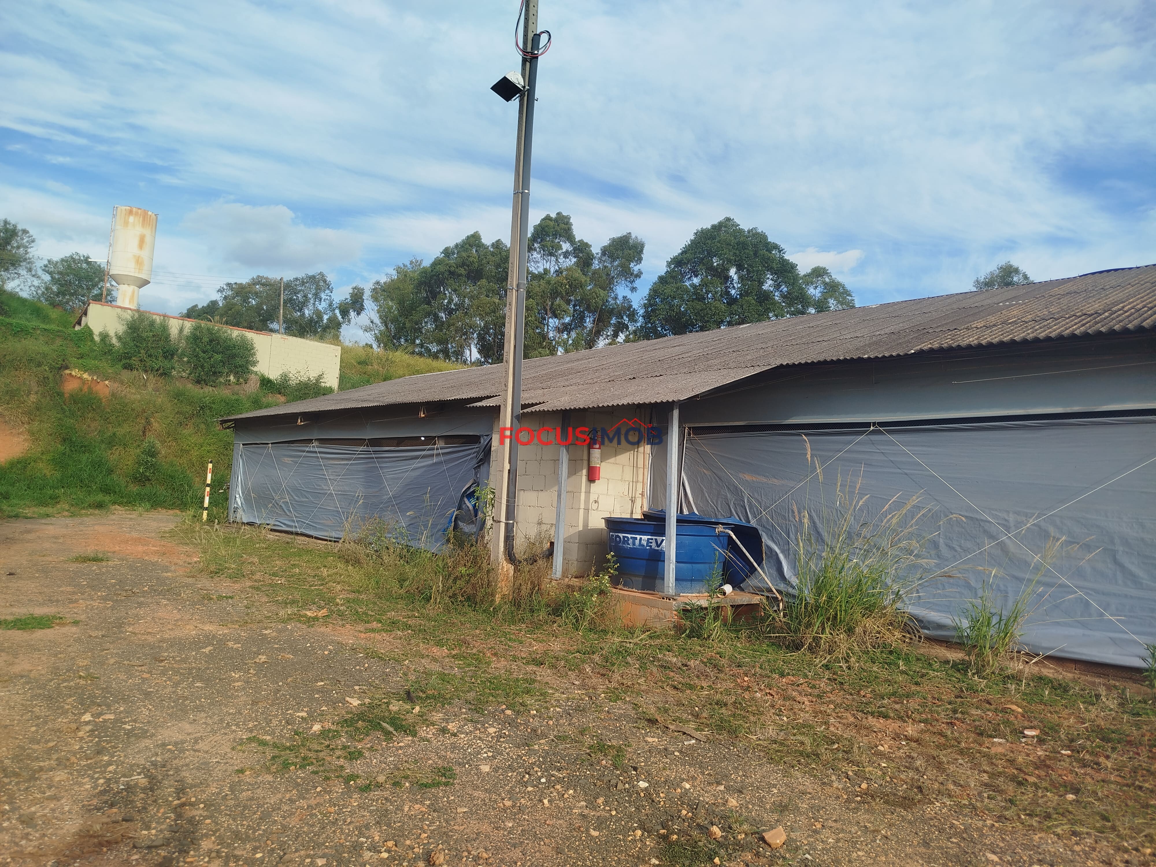 🏡 Granja Produtiva e Automatizada à Venda – Excelente Oportunidade de Investimento!