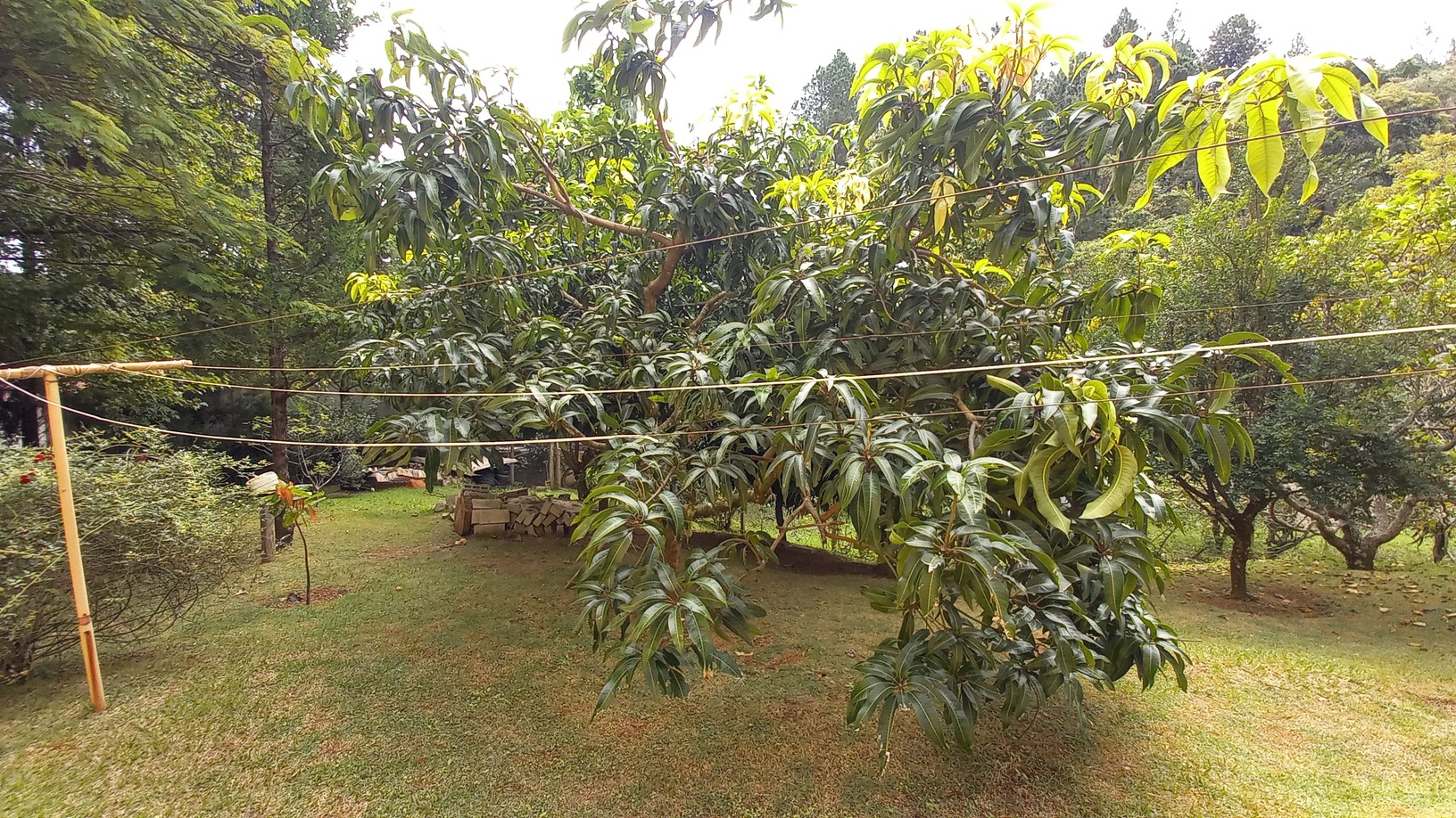 Encantadora Chácara no Coração de Águas de Lindóia!