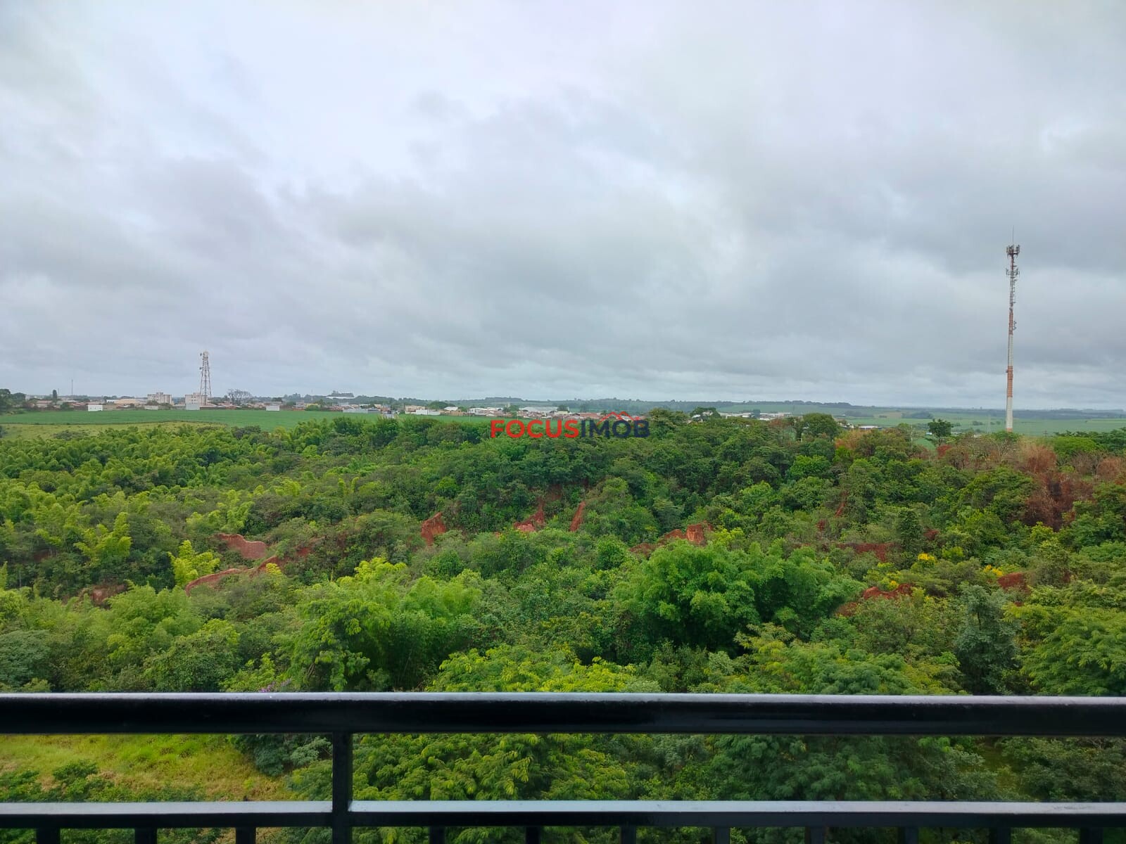 Vende Apartamento  Portal Michelangelo - Mogi Mirim.