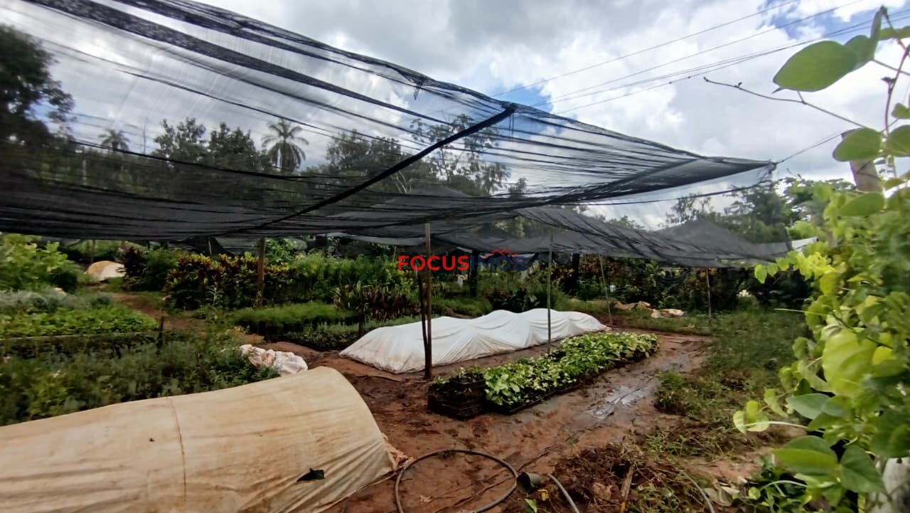 EXCLUSIVIDADE🌿 EXCELENTE SÍTIO À VENDA – OPORTUNIDADE ÚNICA NA REGIÃO DE Santo Antônio de Posse 🌿