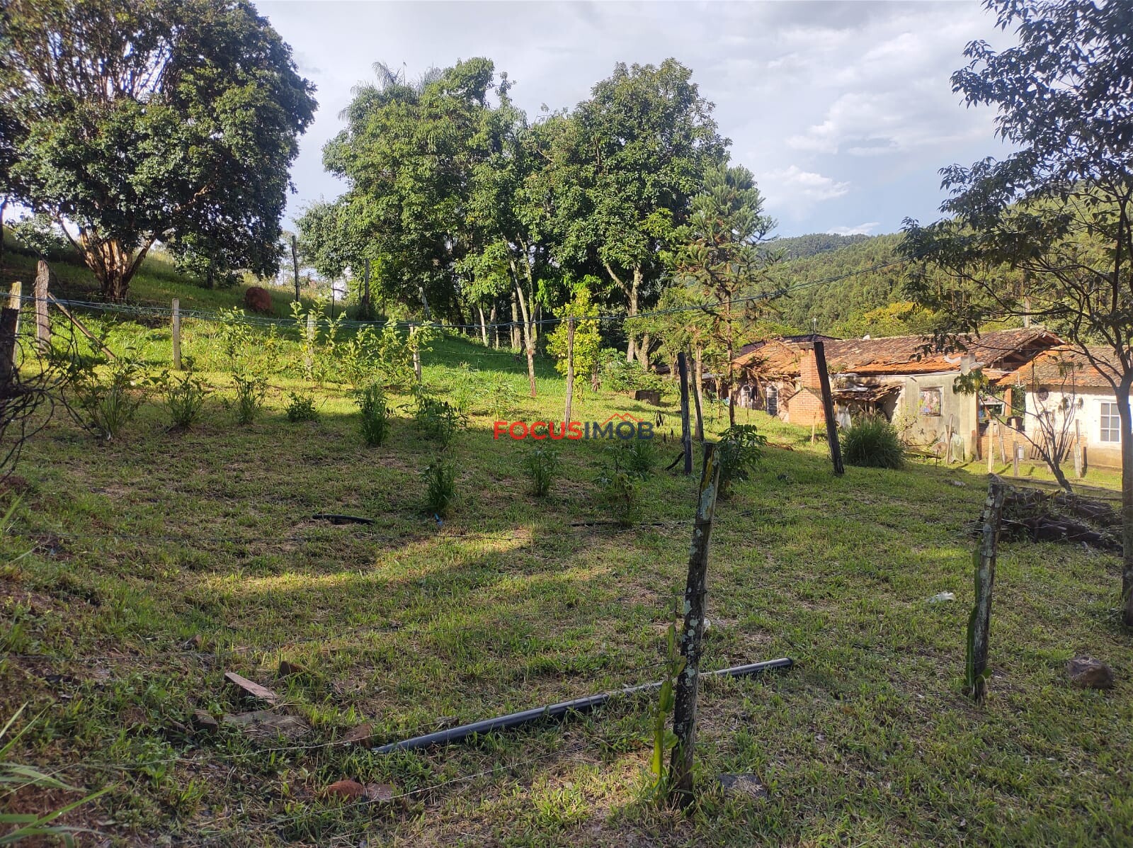 Sítio em Amparo SP