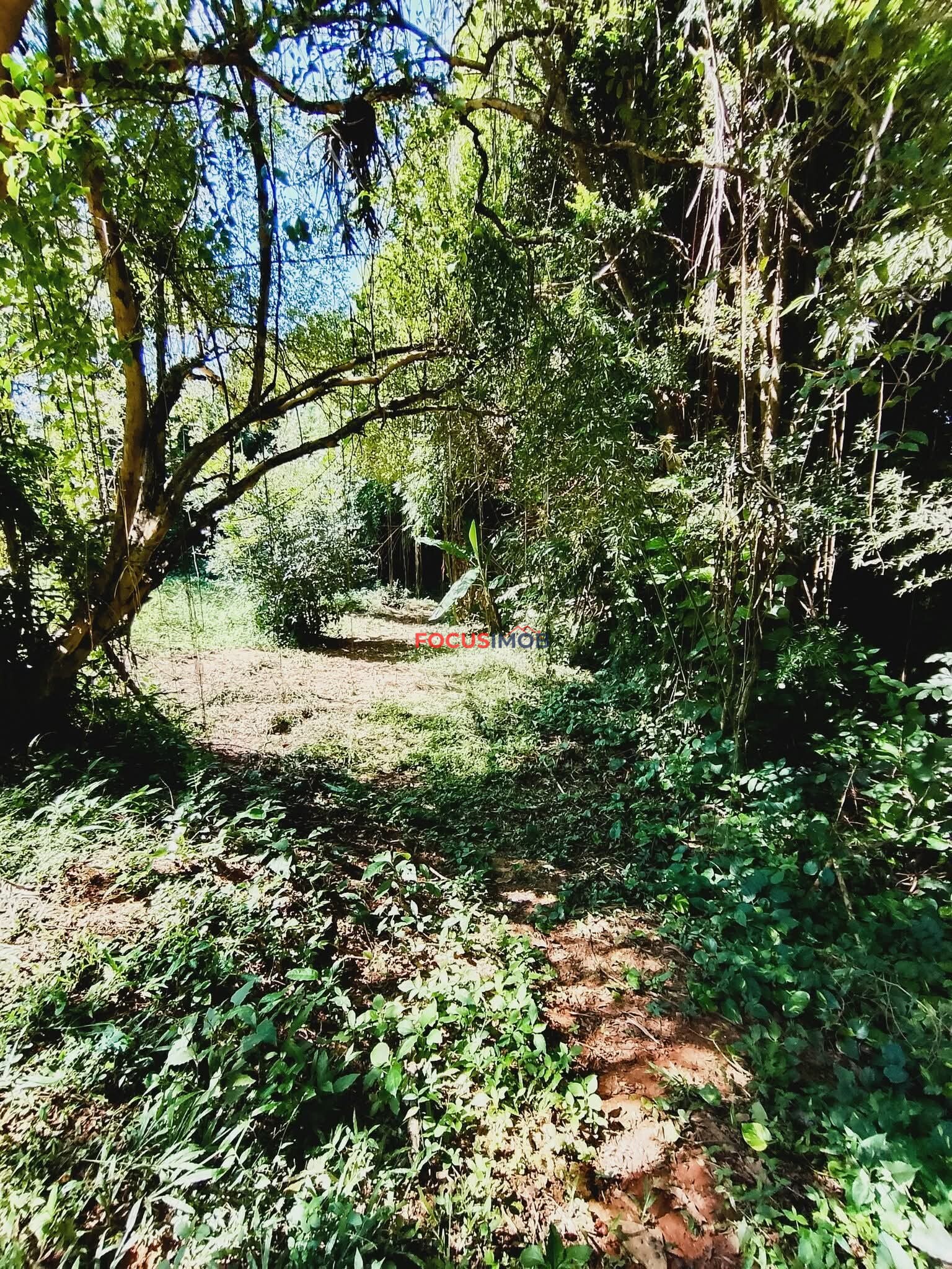 Chácara em Itapira Venda ou troca