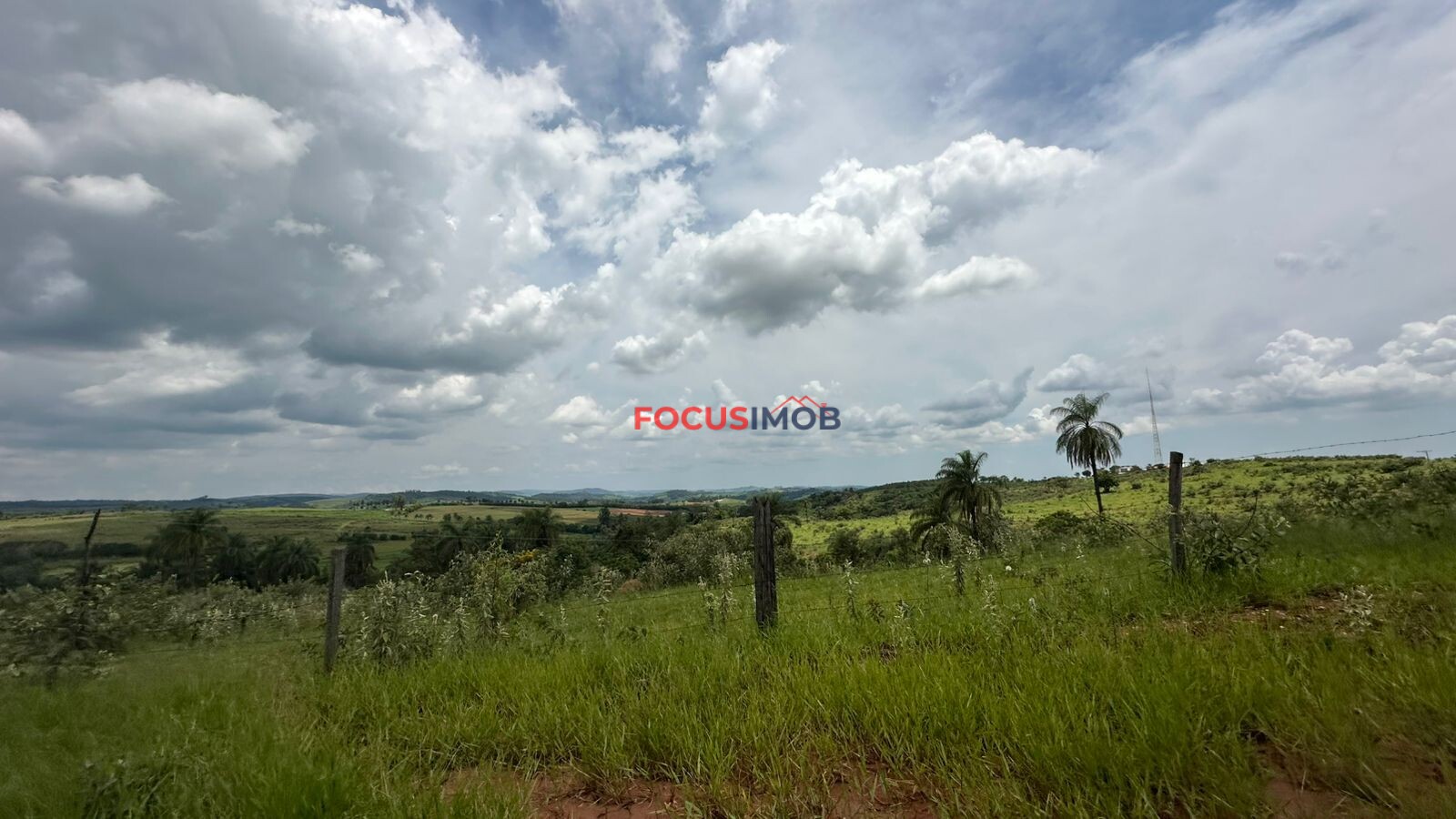 EXCLUSIVIDADE🌿 EXCELENTE SÍTIO À VENDA – OPORTUNIDADE ÚNICA NA REGIÃO DE Santo Antônio de Posse 🌿