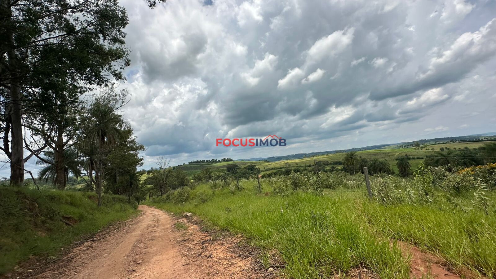 EXCLUSIVIDADE🌿 EXCELENTE SÍTIO À VENDA – OPORTUNIDADE ÚNICA NA REGIÃO DE Santo Antônio de Posse 🌿