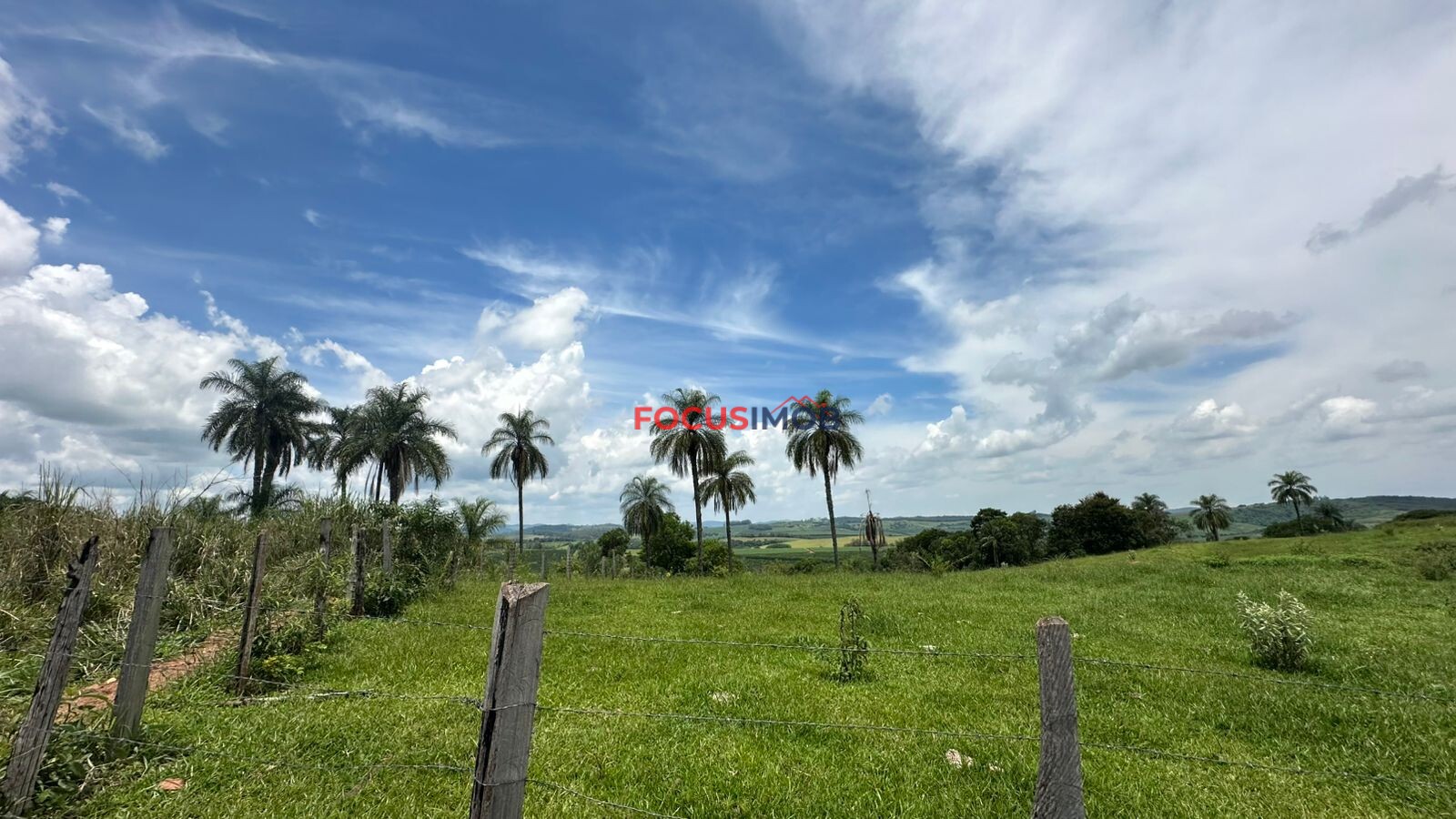 EXCLUSIVIDADE🌿 EXCELENTE SÍTIO À VENDA – OPORTUNIDADE ÚNICA NA REGIÃO DE Santo Antônio de Posse 🌿