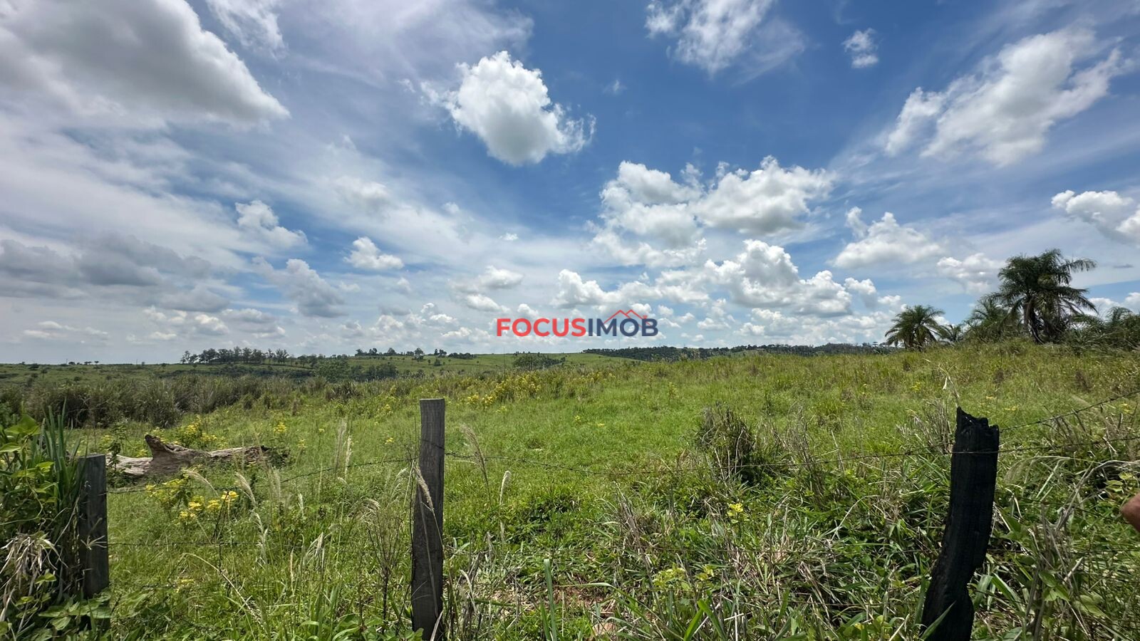 EXCLUSIVIDADE🌿 EXCELENTE SÍTIO À VENDA – OPORTUNIDADE ÚNICA NA REGIÃO DE Santo Antônio de Posse 🌿