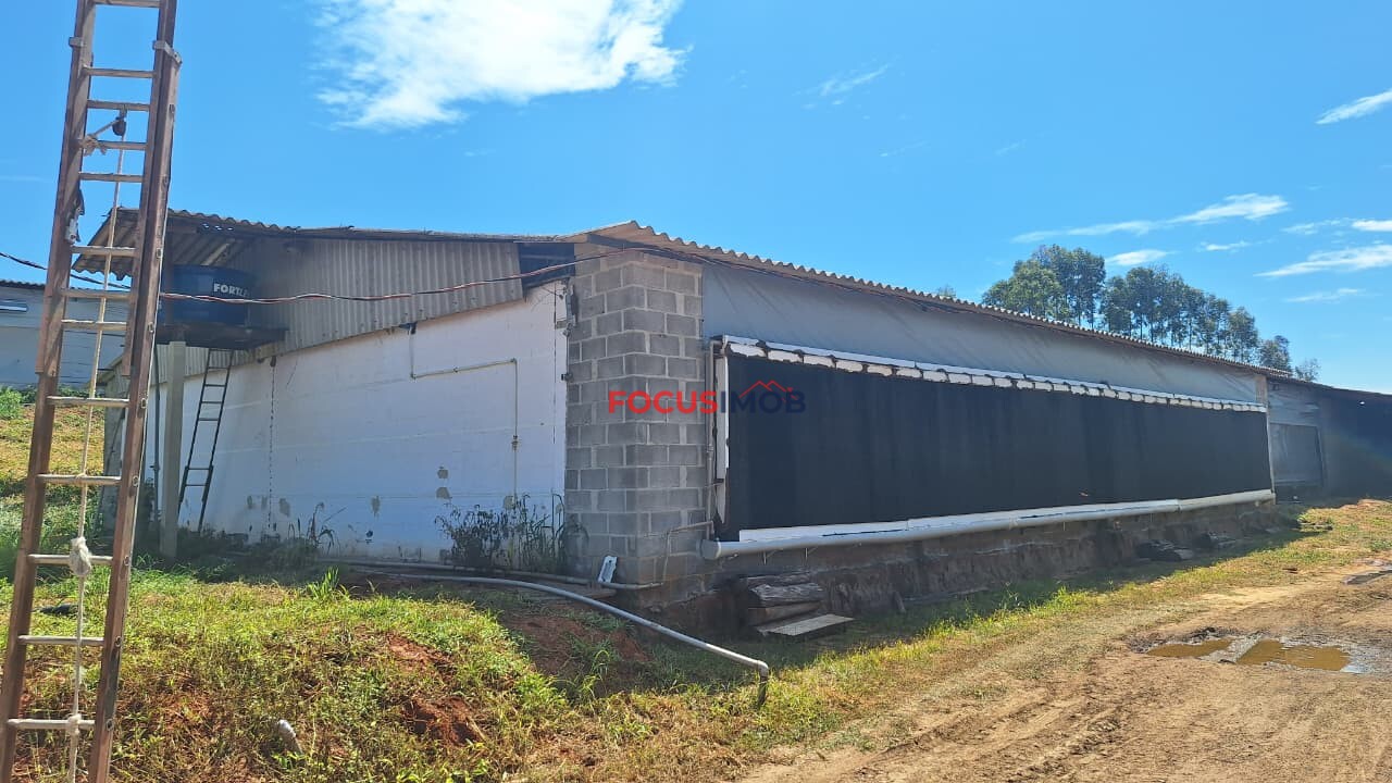 Granja em Plena Produção – Estrutura Completa e Totalmente Automatizada