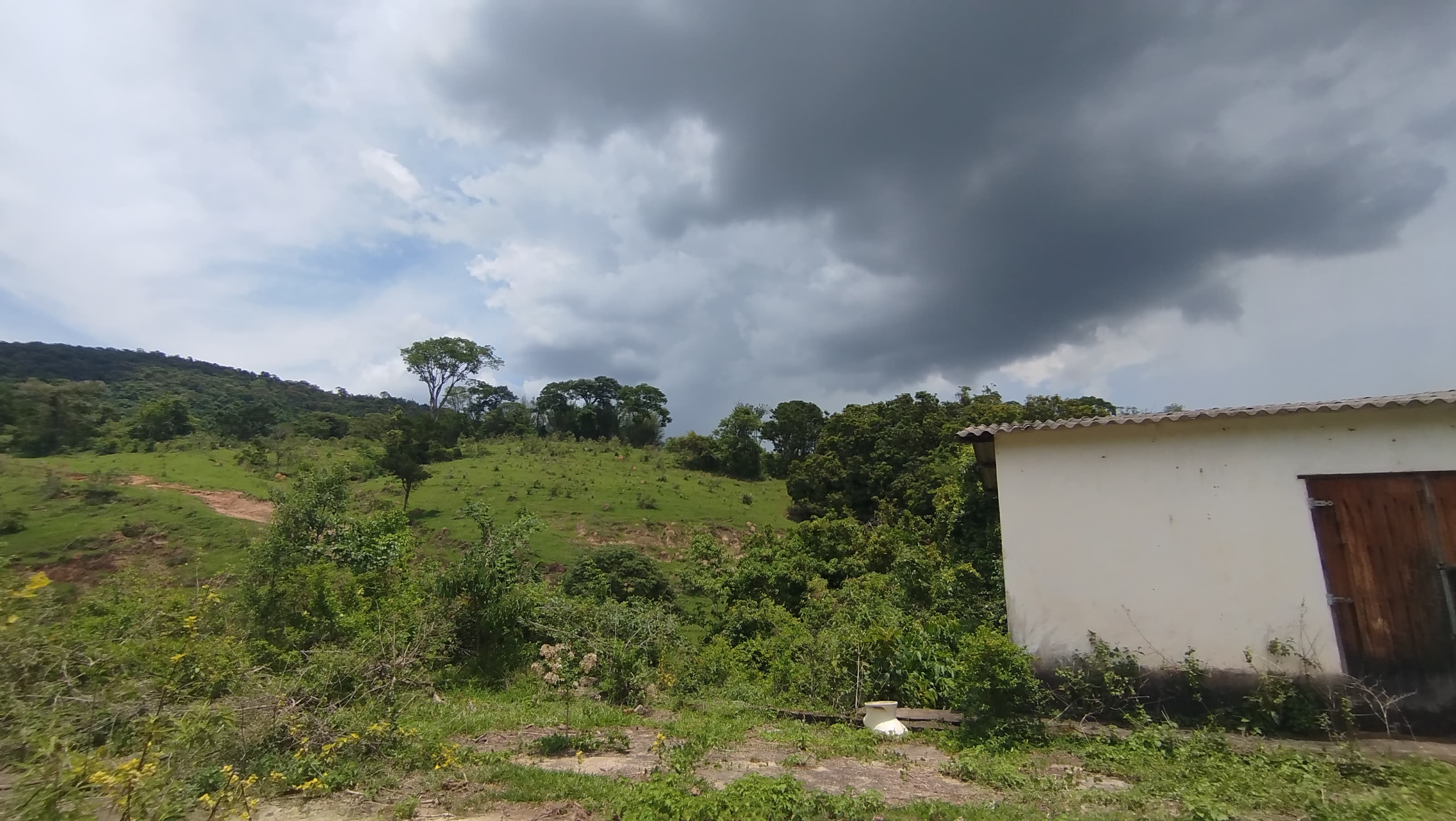 Sítio de 10 alqueires para Venda