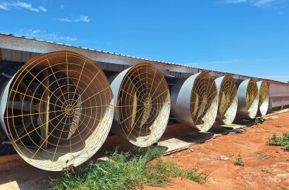 Granja em Plena Produção – Estrutura Completa e Totalmente Automatizada