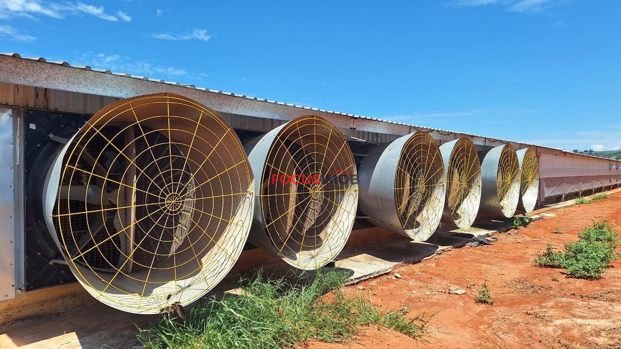 Granja em Plena Produção – Estrutura Completa e Totalmente Automatizada