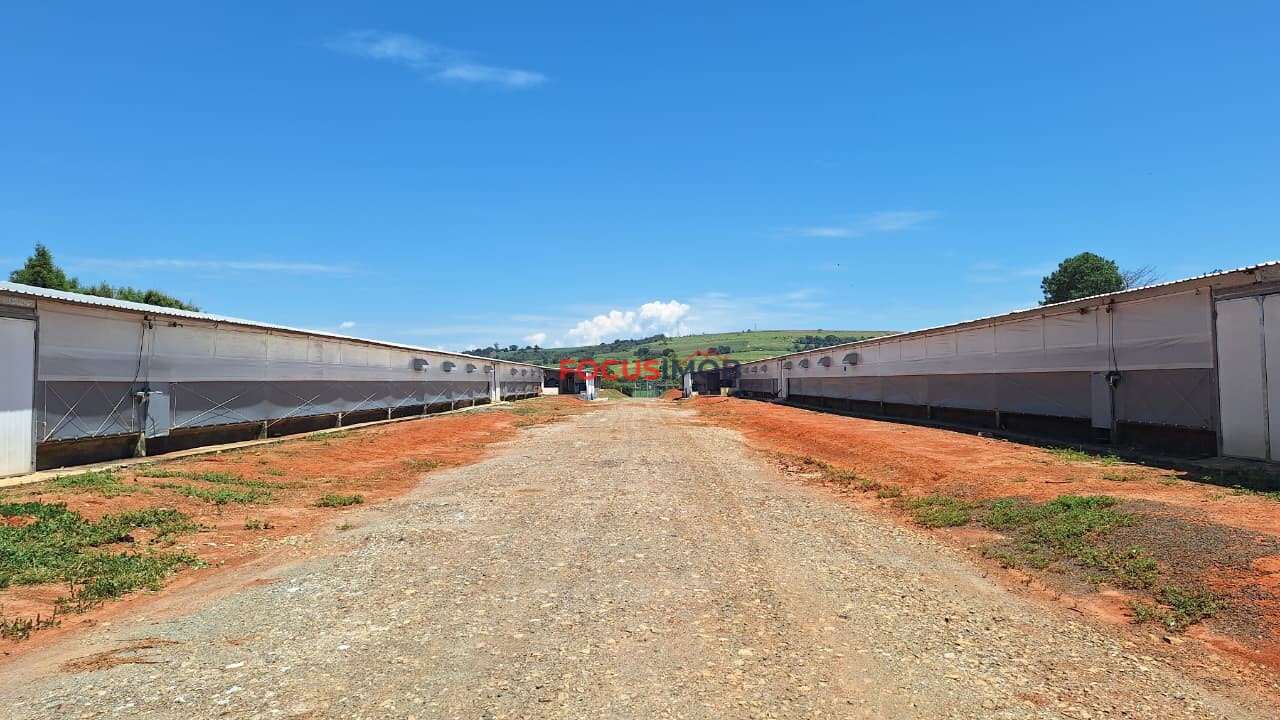 Granja em Plena Produção – Estrutura Completa e Totalmente Automatizada