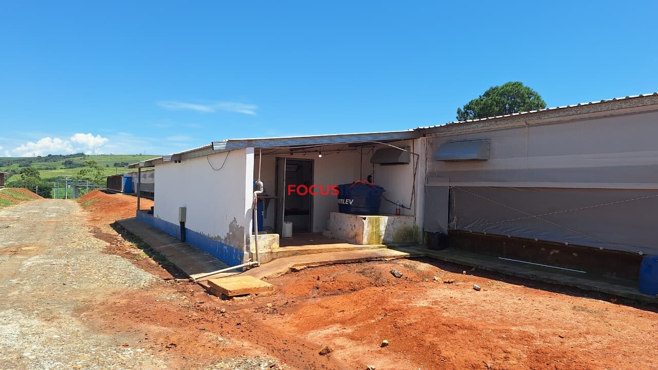 Granja em Plena Produção – Estrutura Completa e Totalmente Automatizada