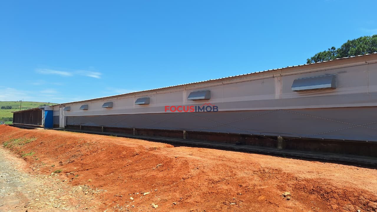 Granja em Plena Produção – Estrutura Completa e Totalmente Automatizada