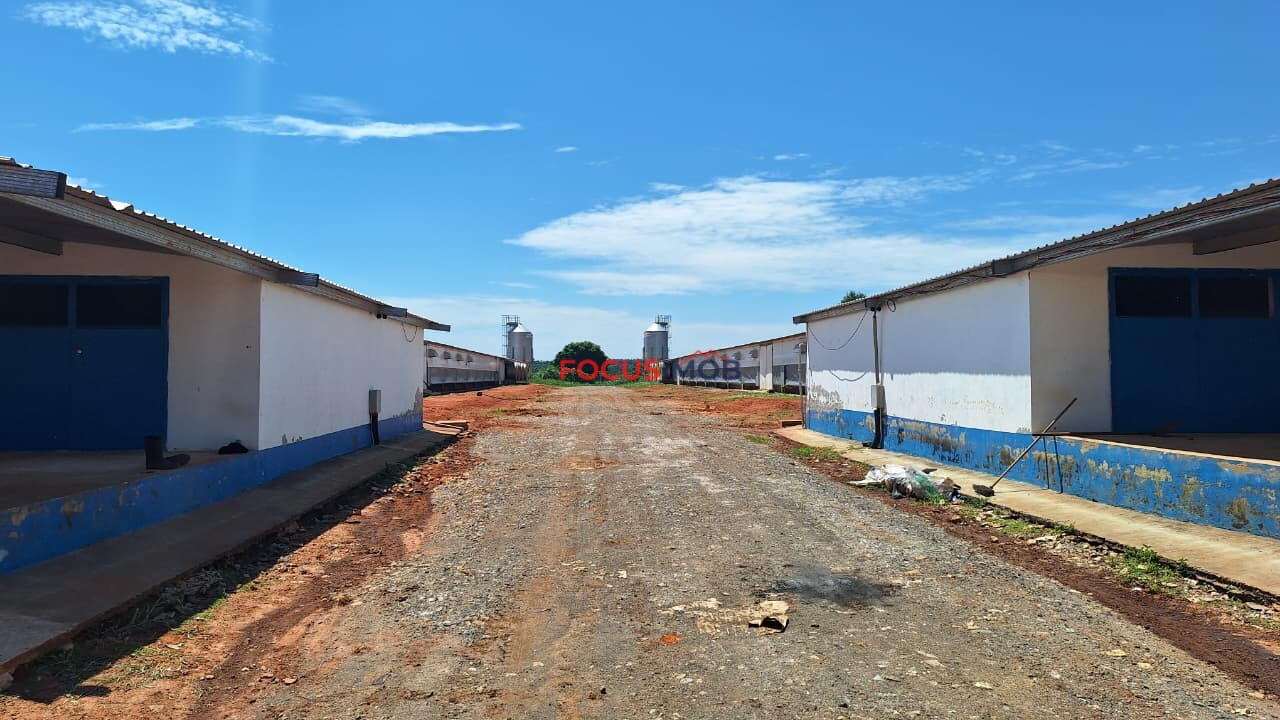 Granja em Plena Produção – Estrutura Completa e Totalmente Automatizada