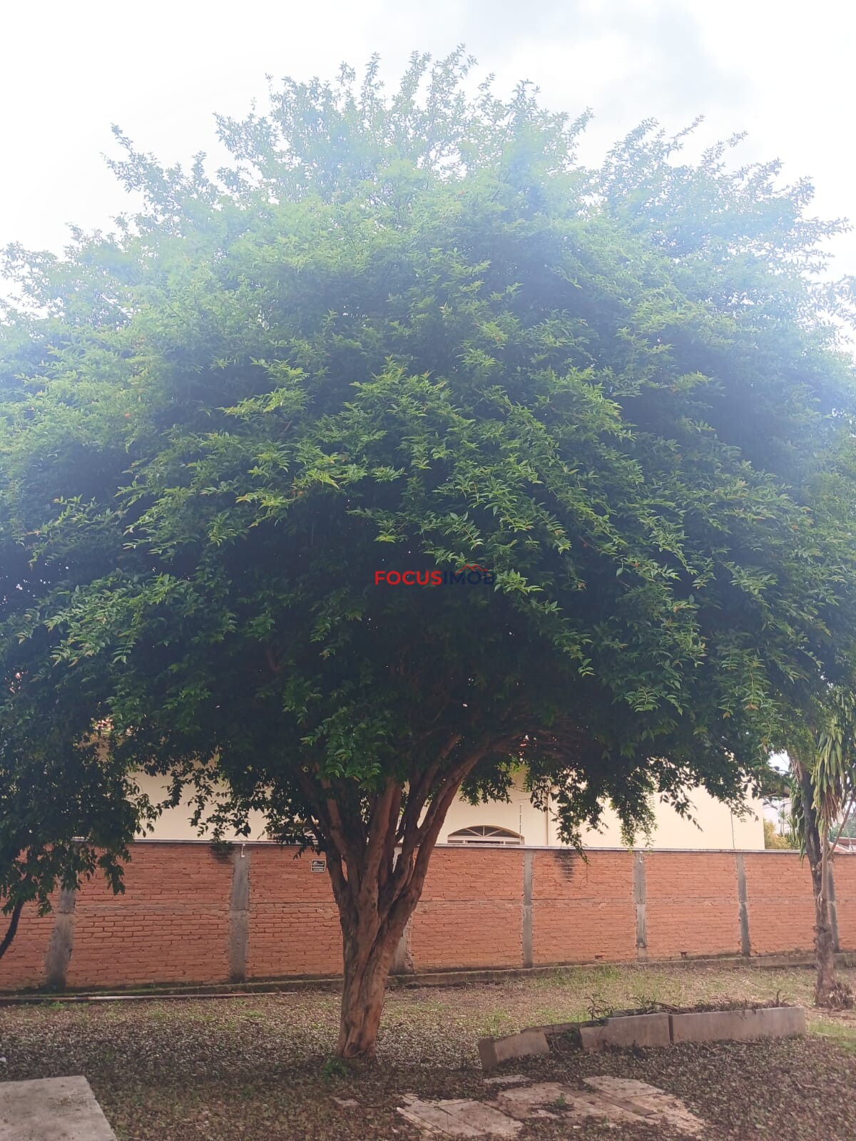 OPORTUNIDADE NO JARDIM SELMA – MOGI GUAÇU Vendo Edícula em terreno de 325m² (13m de frente).