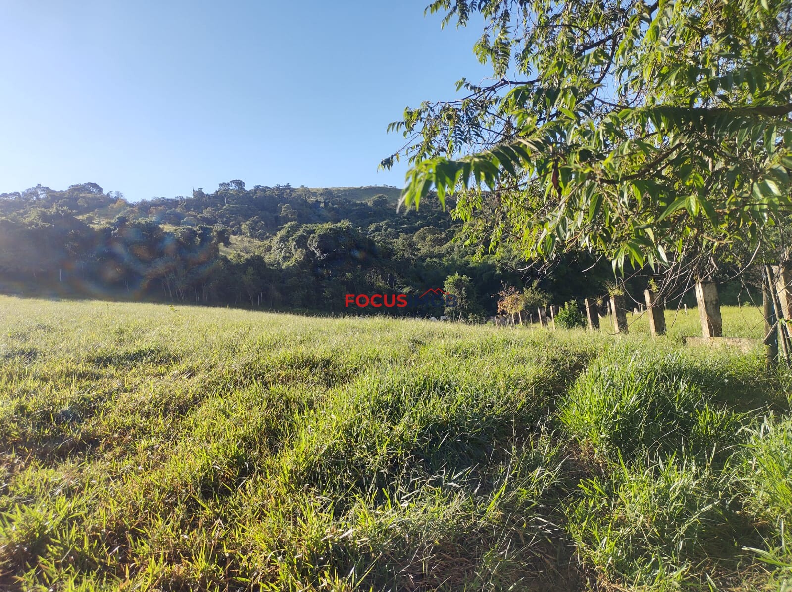 Sítio em Amparo SP