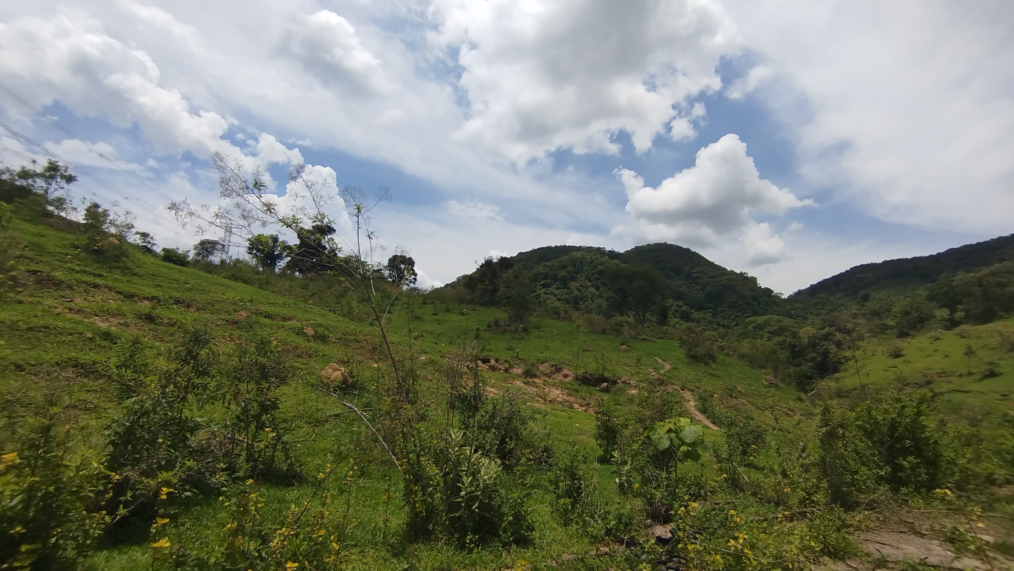 Sítio de 10 alqueires para Venda