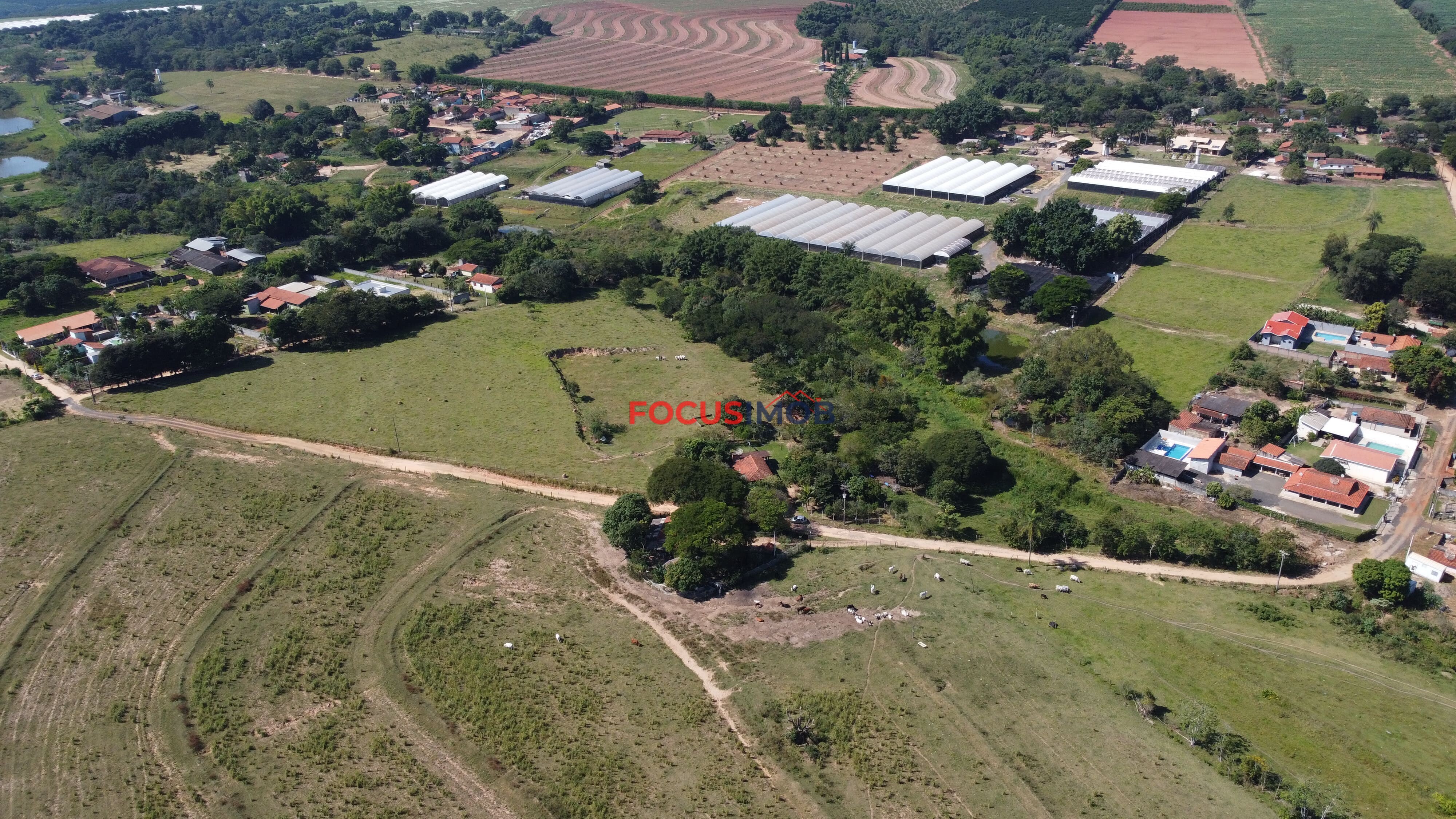 Oportunidade!!! Sitio de 3 Hectares em Mogi Mirim.