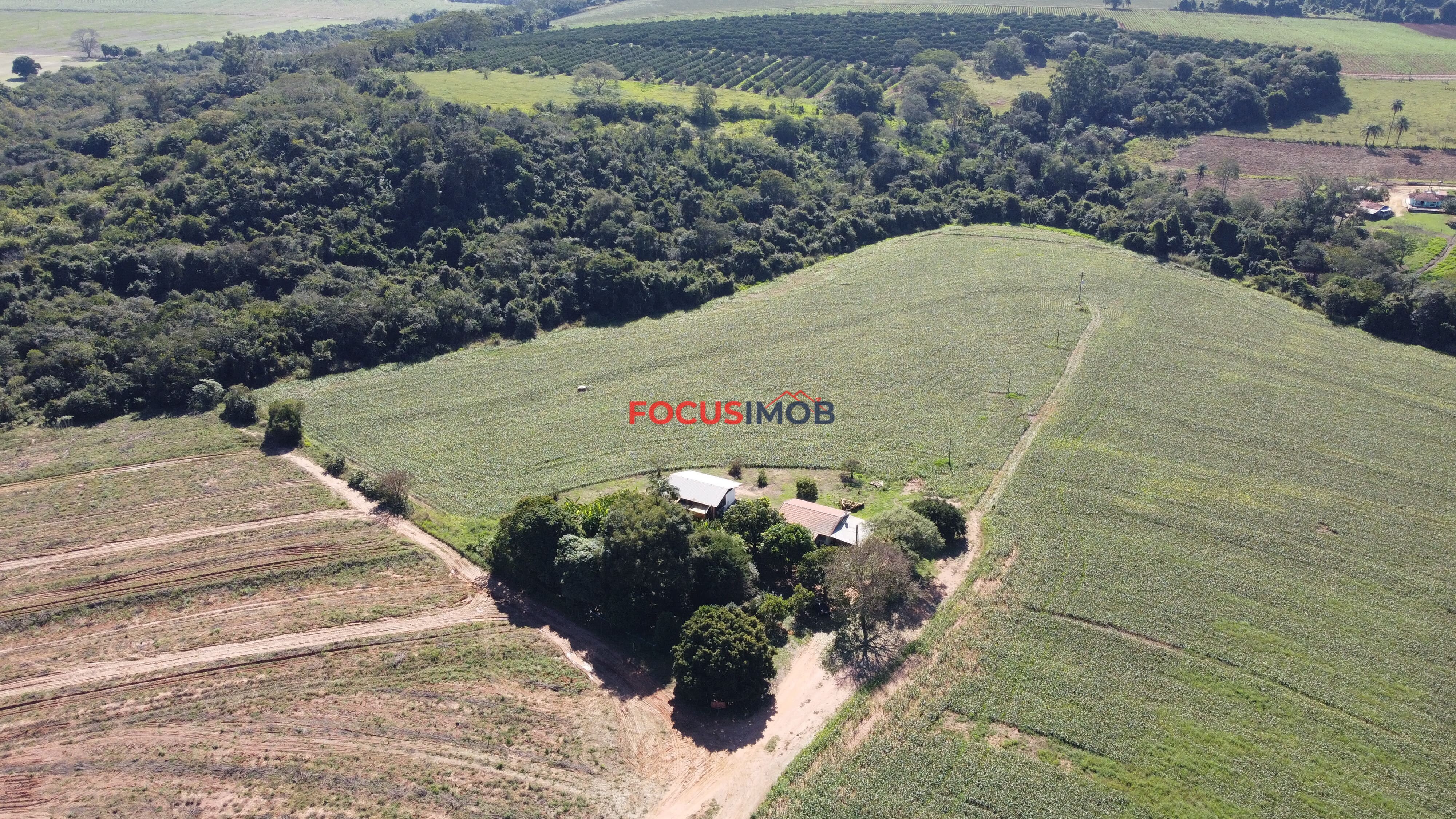 Excelente Sítio de 2 Alqueires em Conchal – Fácil Acesso e Documentação OK