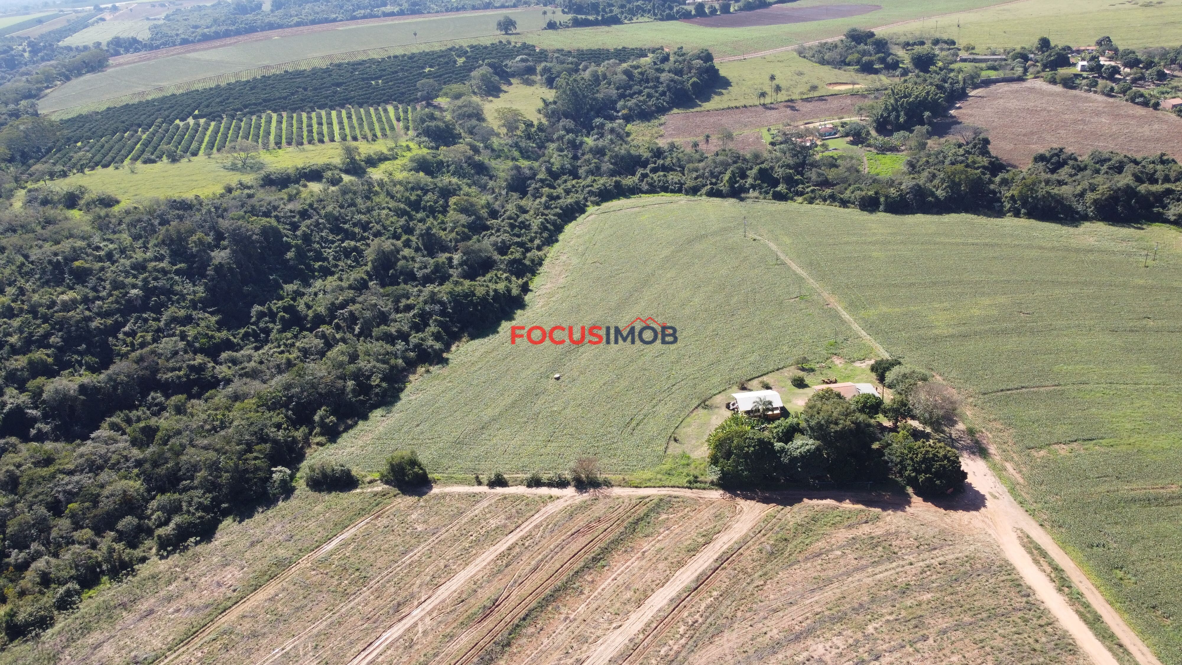 Excelente Sítio de 2 Alqueires em Conchal – Fácil Acesso e Documentação OK