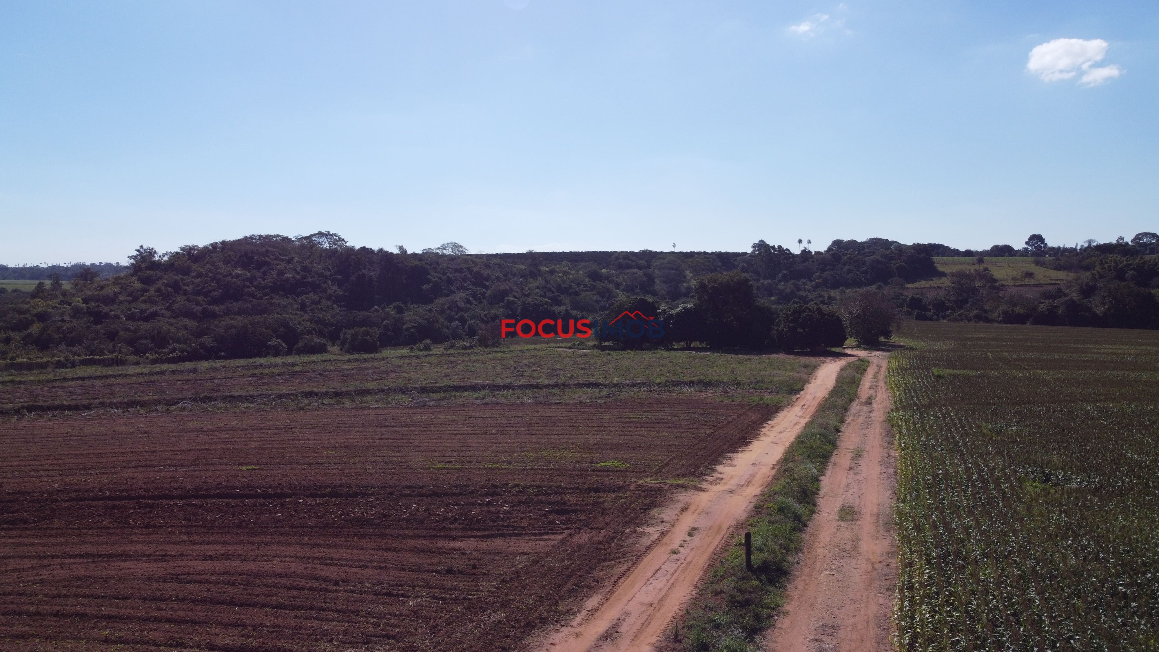 Excelente Sítio de 2 Alqueires em Conchal – Fácil Acesso e Documentação OK