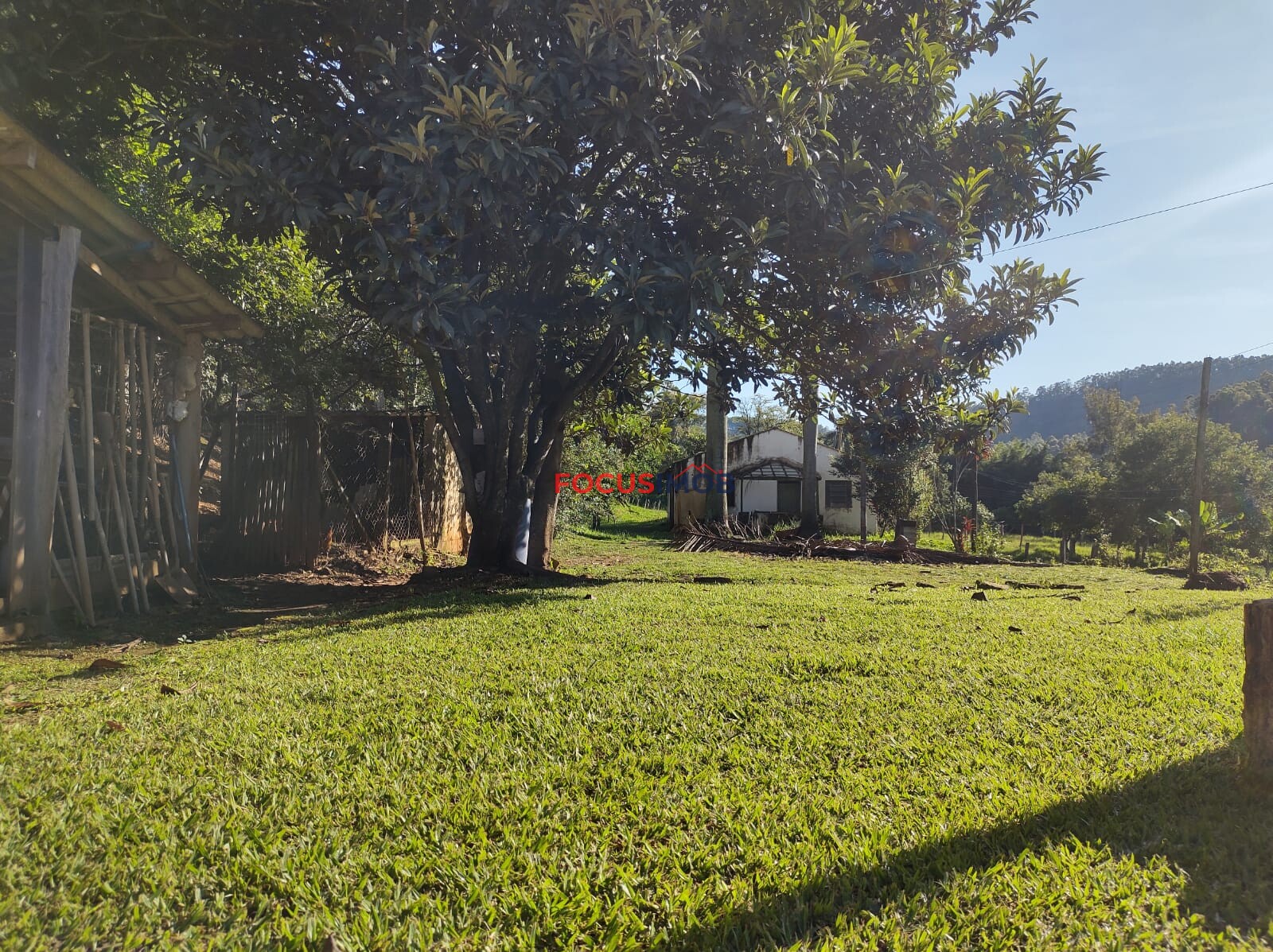 Sítio em Amparo SP