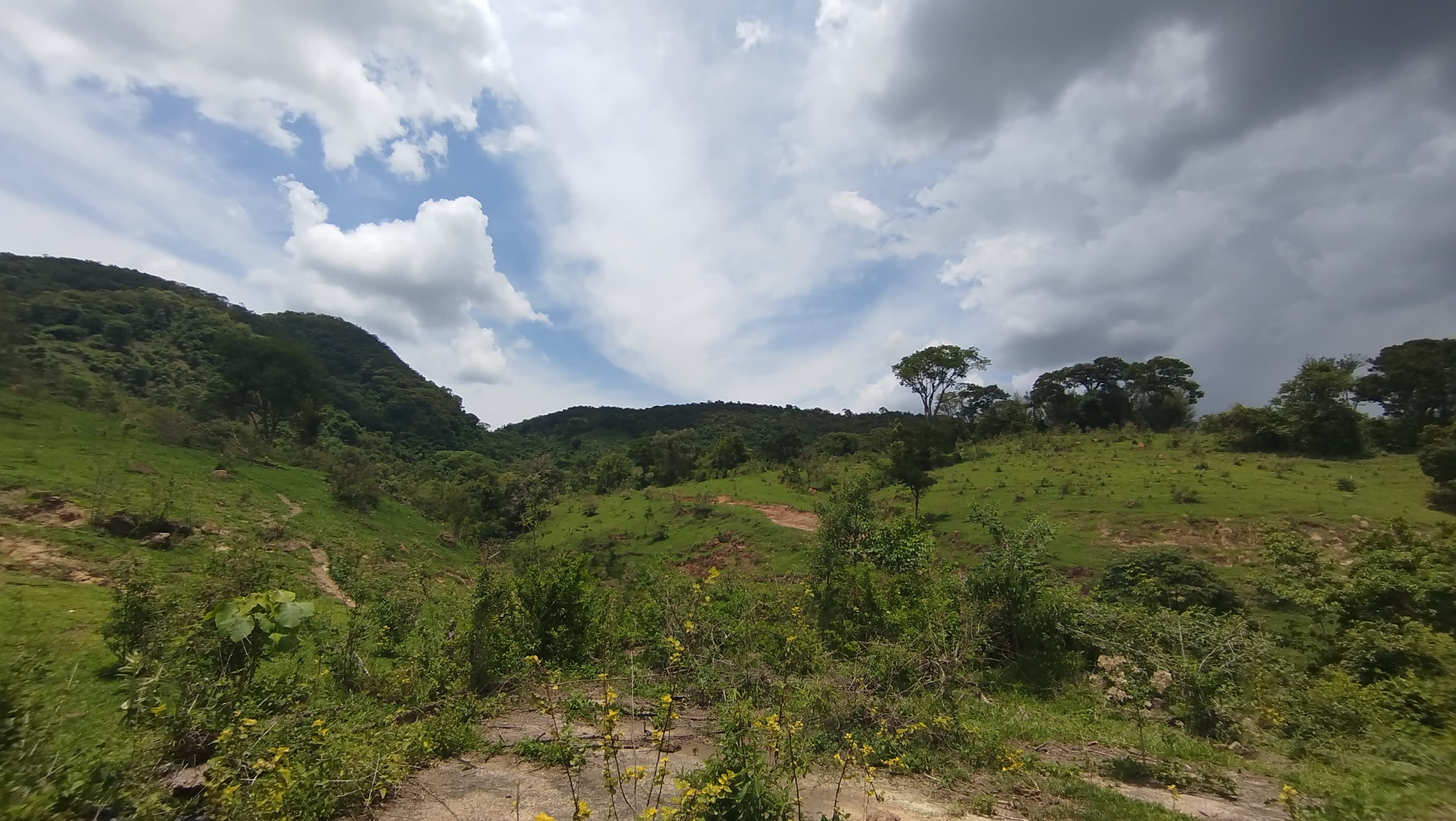 Sítio de 10 alqueires para Venda