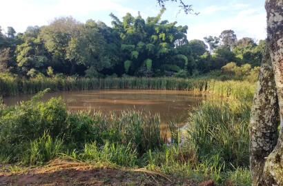 Sítio em Amparo SP