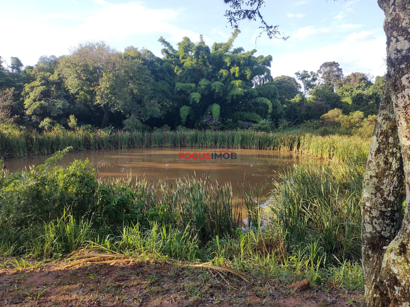 Sítio em Amparo SP